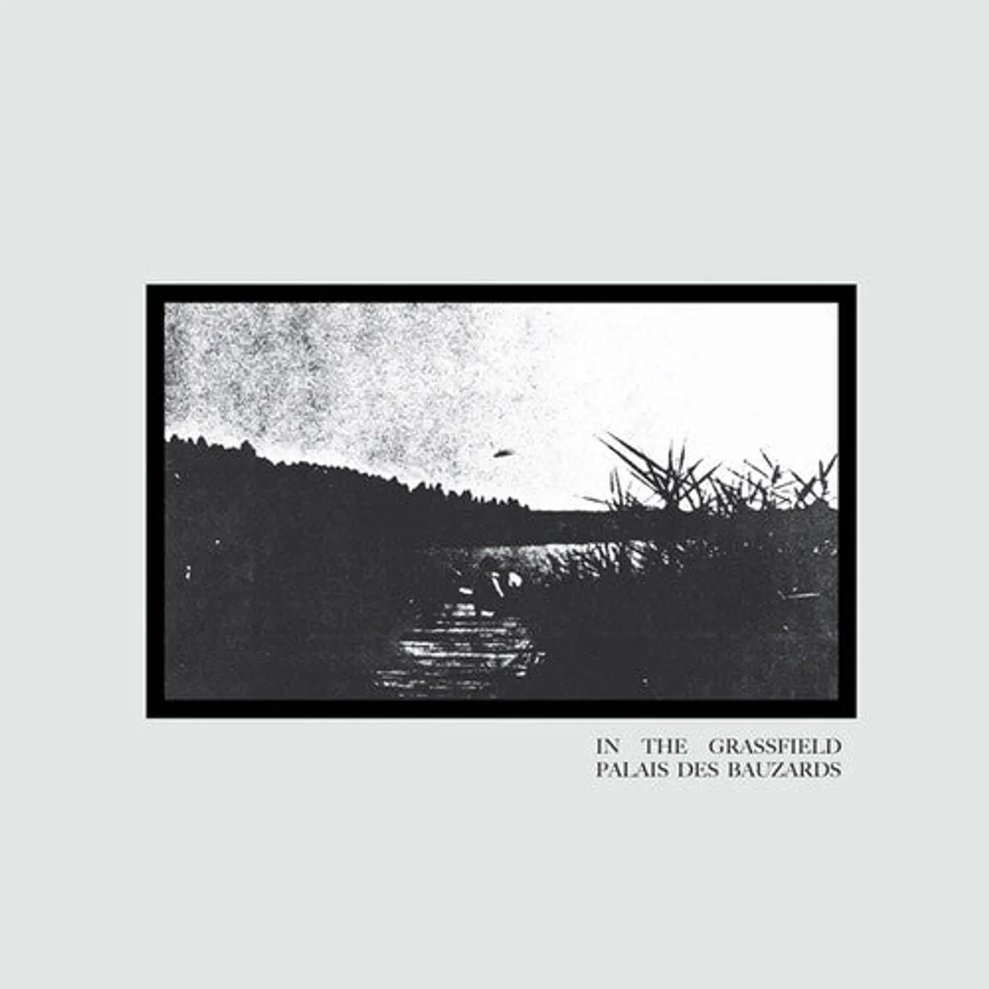 Palais Des Bauzards LP Vinyl - In The Grassfield