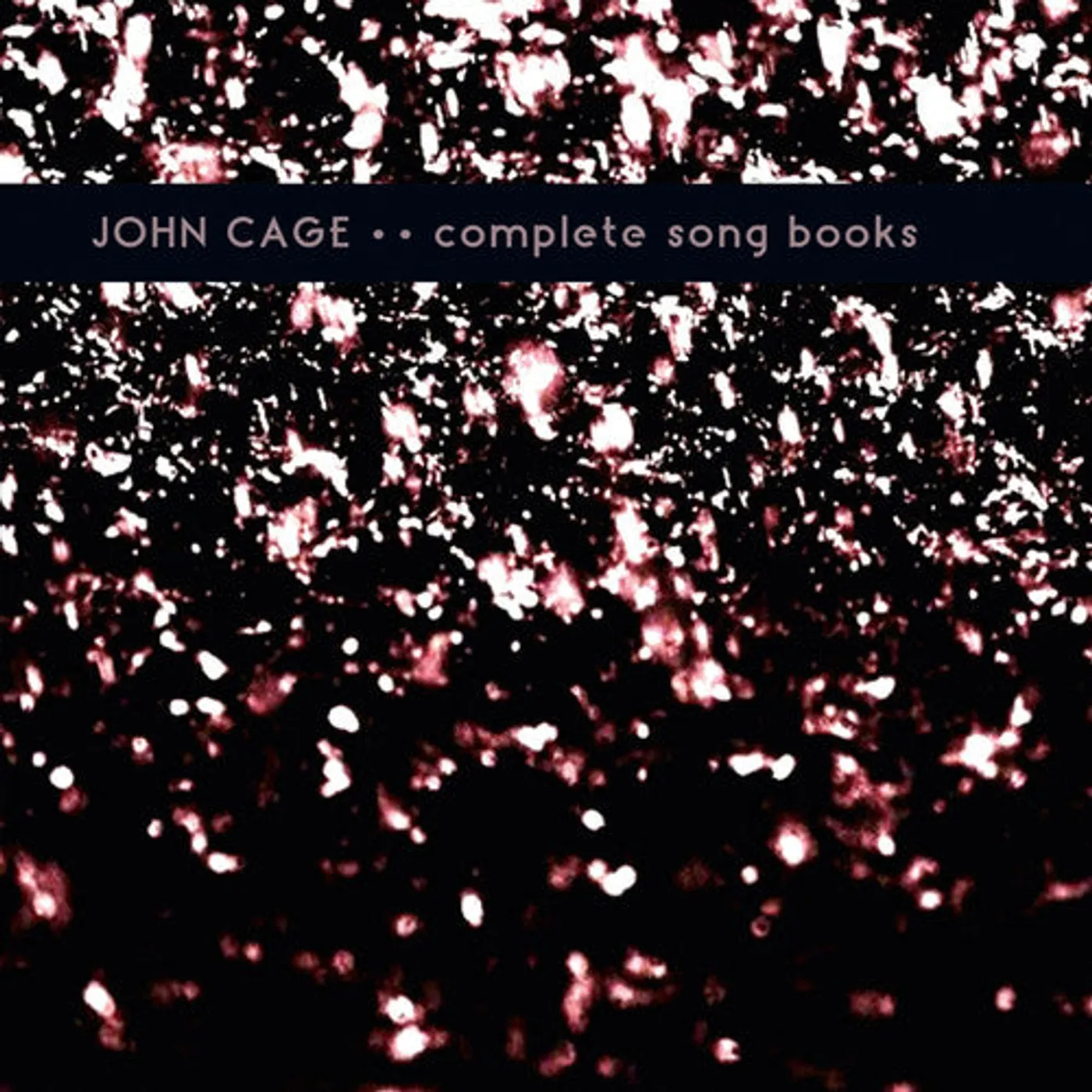 John Cage LP Vinyl - Complete Song Books