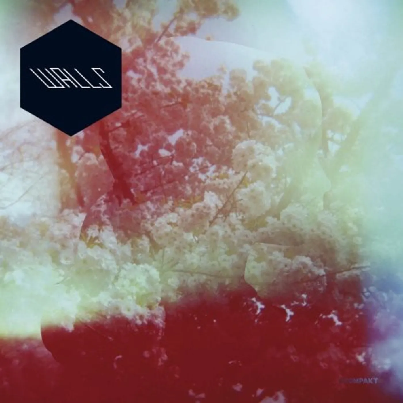 Walls LP Vinyl - Walls (W/Cd)