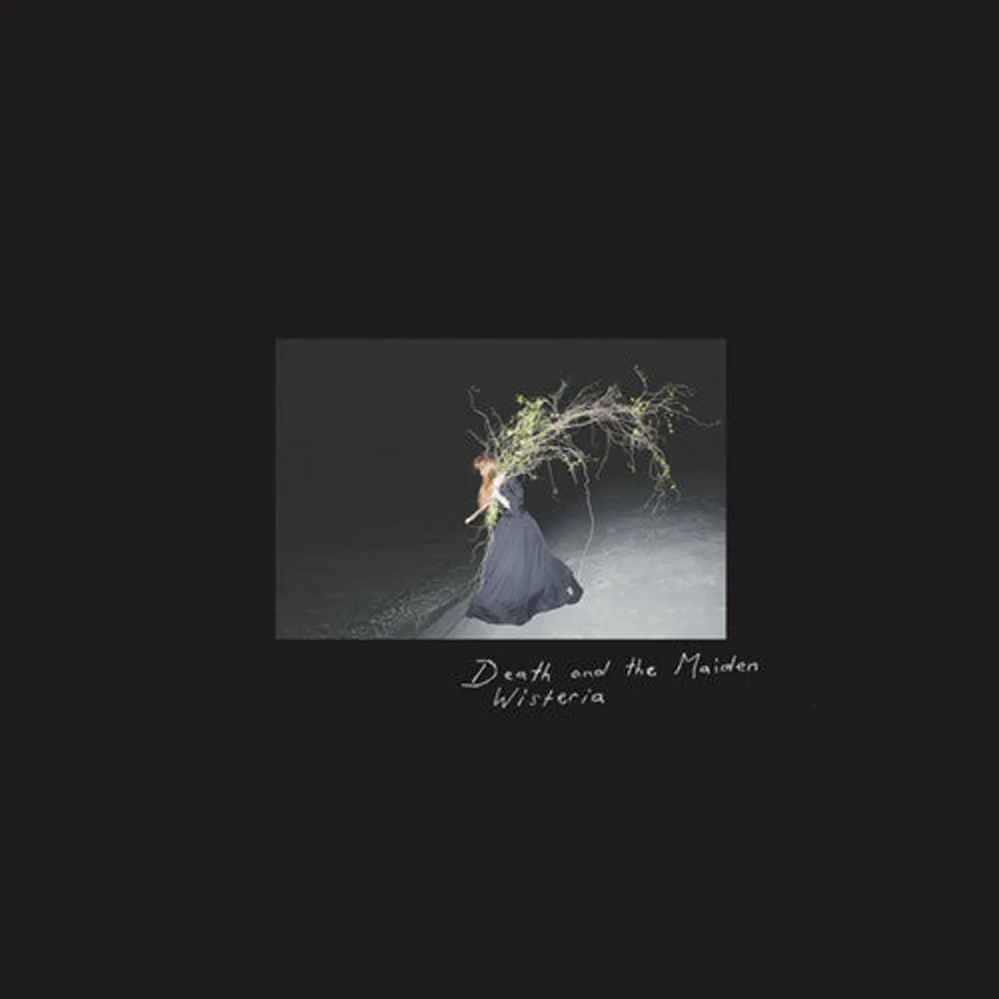 Death & Maiden LP Vinyl - Wisteria