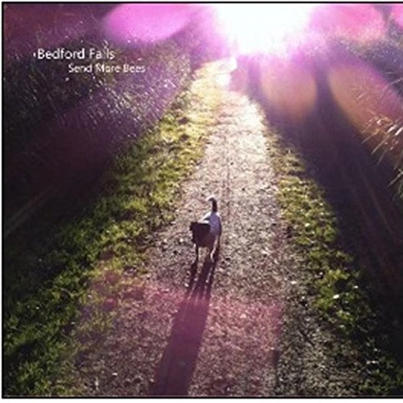 Bedford Falls LP Vinyl - Send More Bees (Uk)