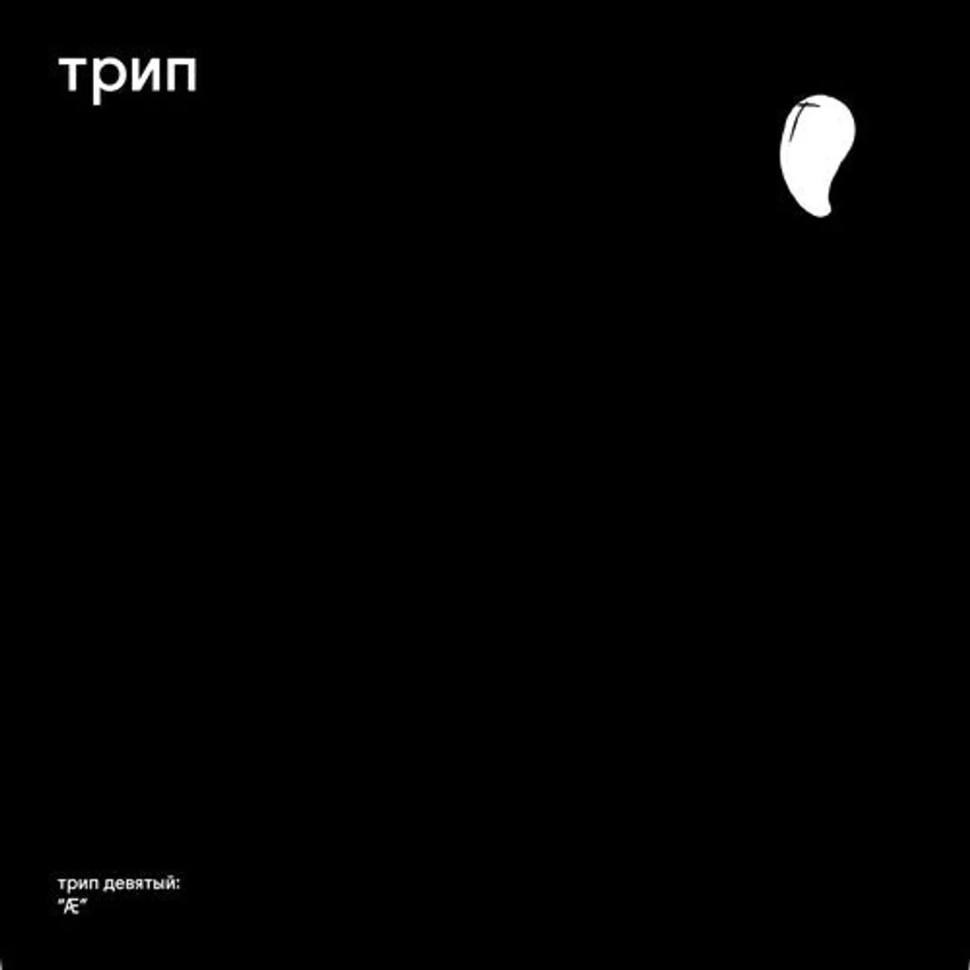 Bjarki LP Vinyl - Ae