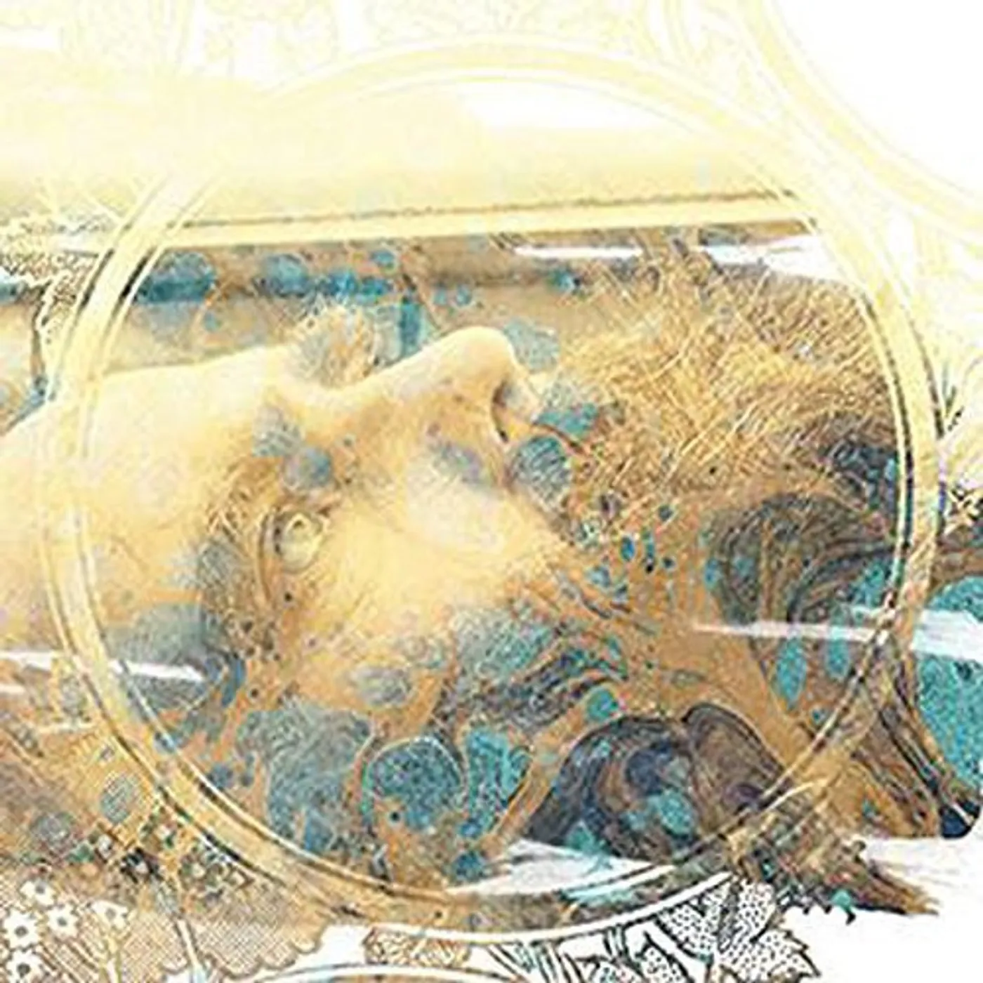 Transmontane LP Vinyl - Ville Fantome (Hol)