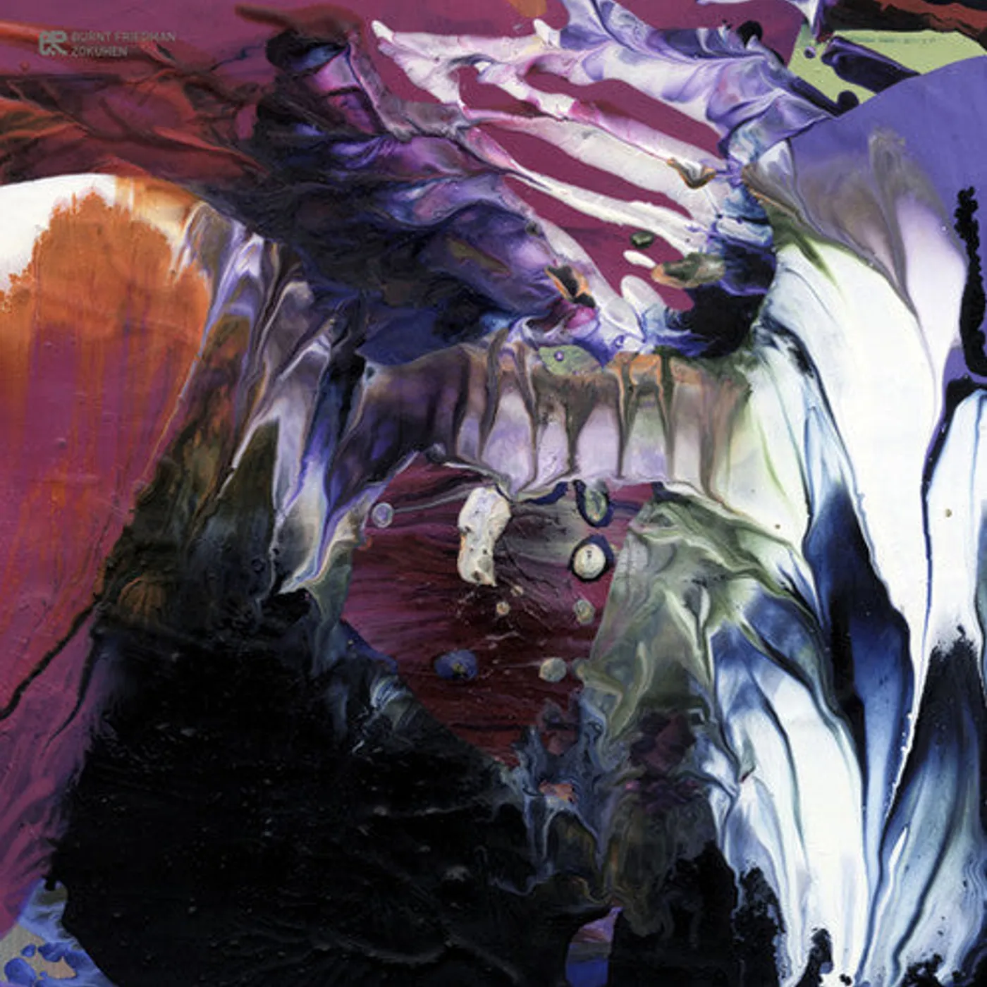 Burnt Friedman LP Vinyl - Zokuhen