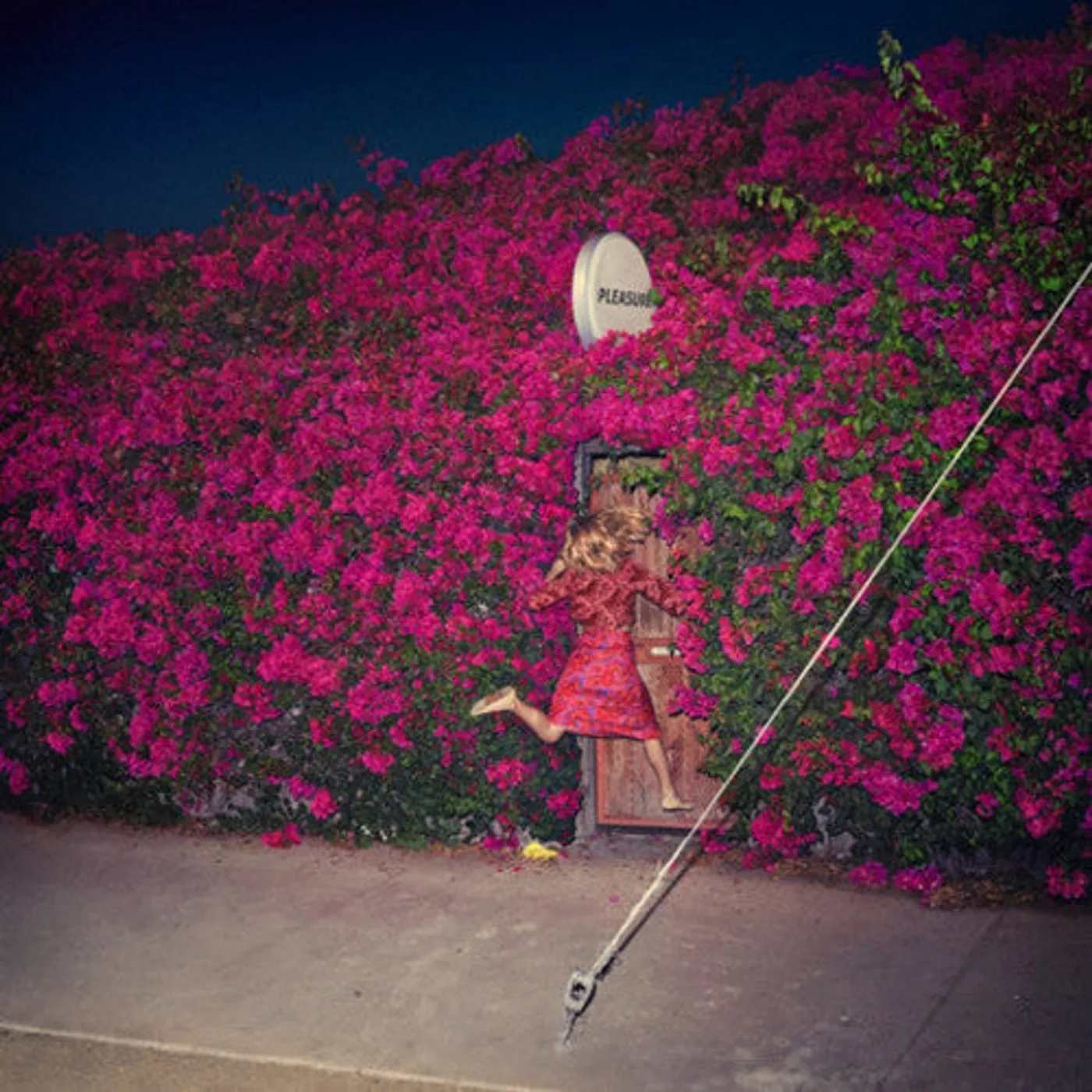 Feist LP Vinyl - Pleasure