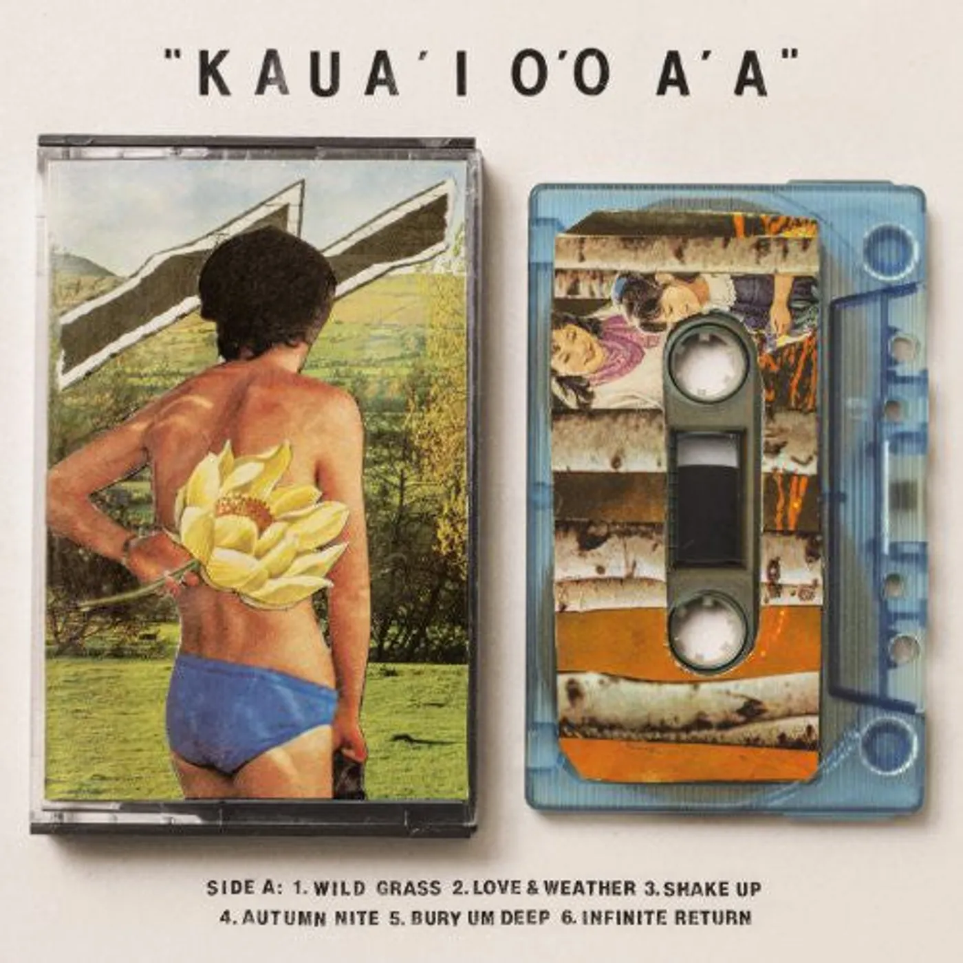 Gentle Friendly LP Vinyl - Kaua'I O'O A'A