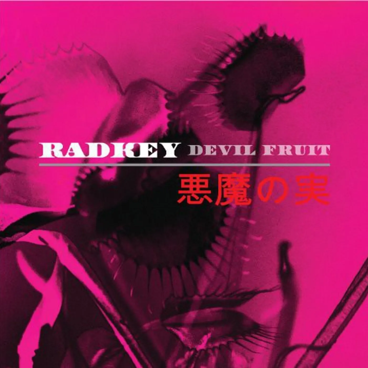 Radkey LP Vinyl - Devil Fruit