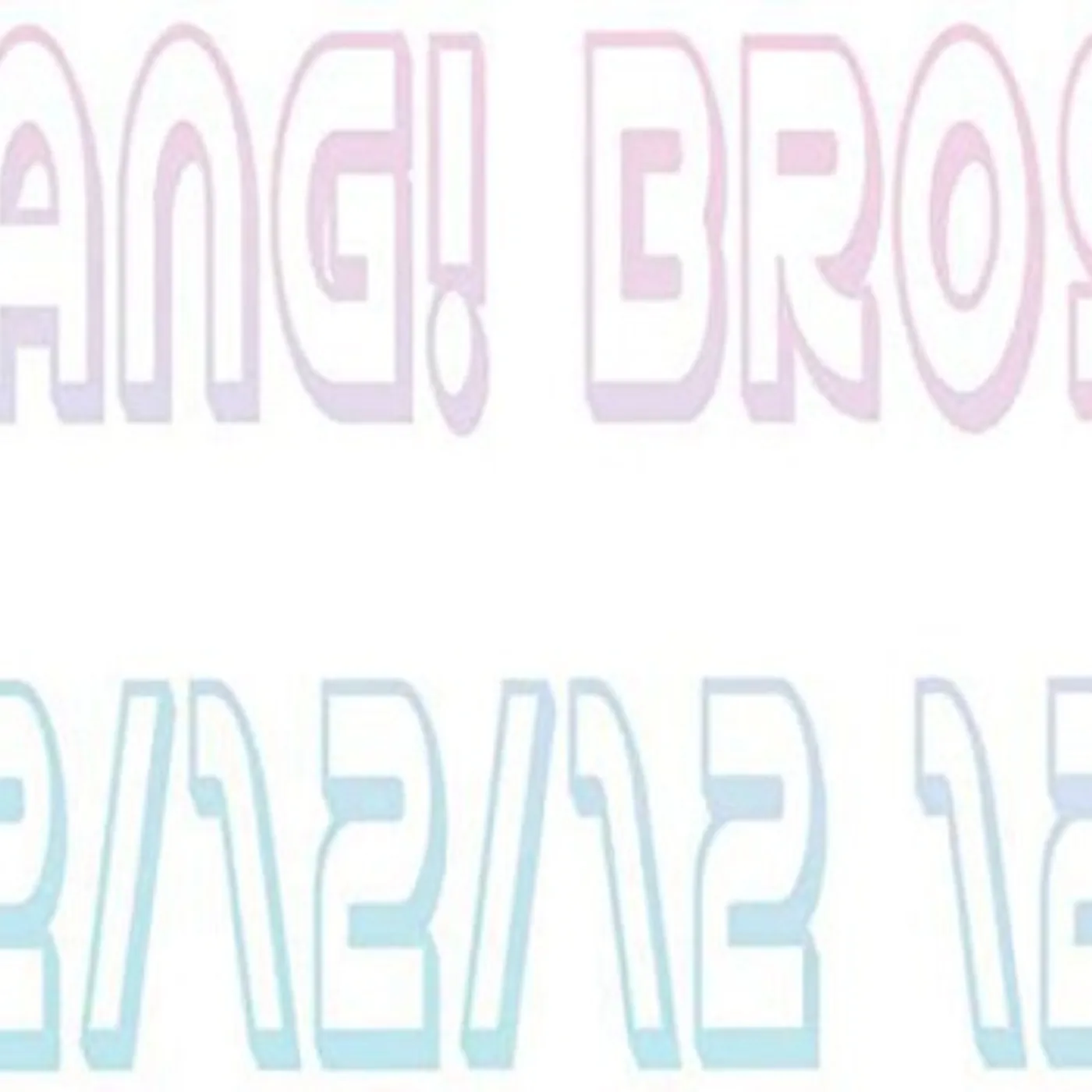 Bang Bros. LP Vinyl - 41255
