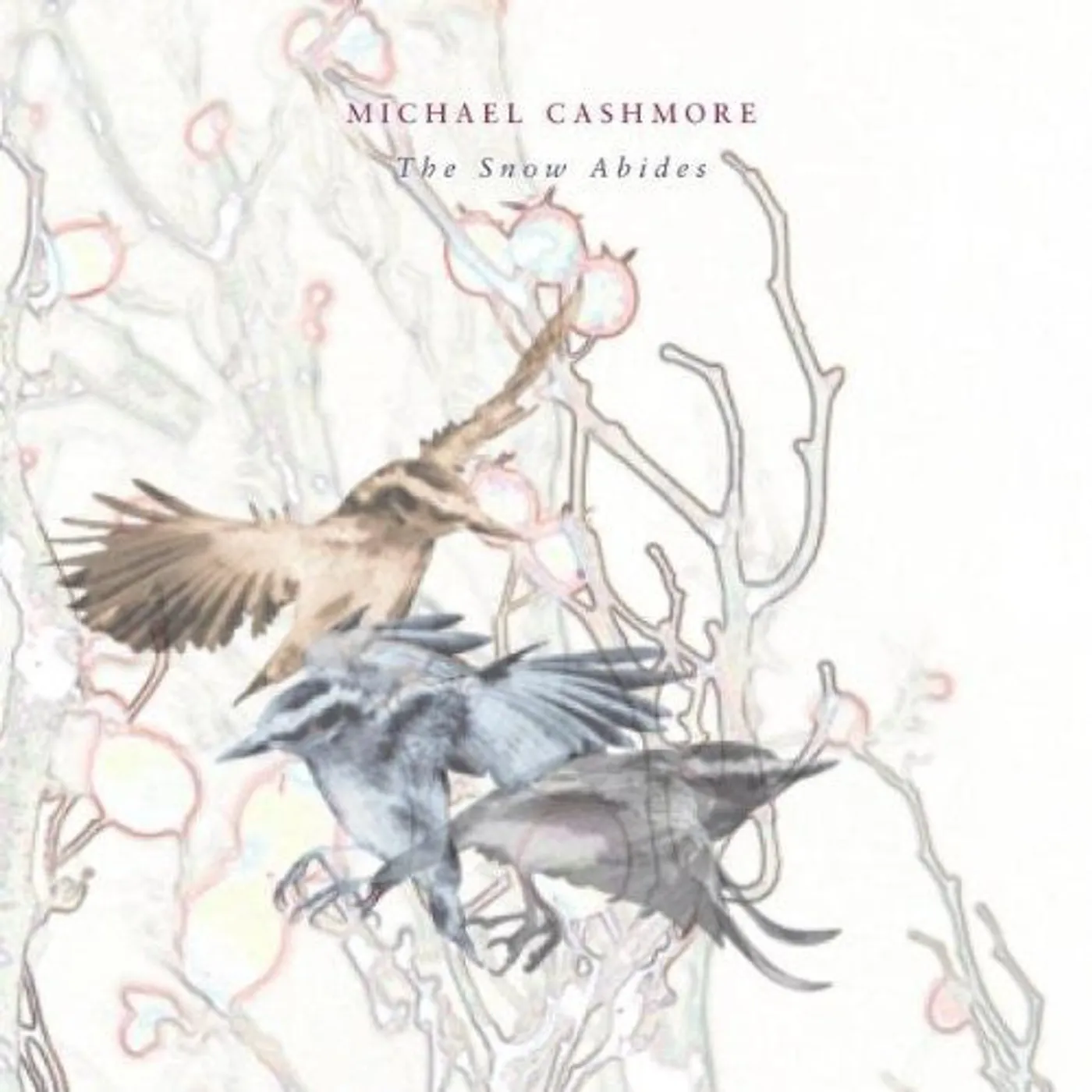 Michael Cashmore LP Vinyl - Snow Abides