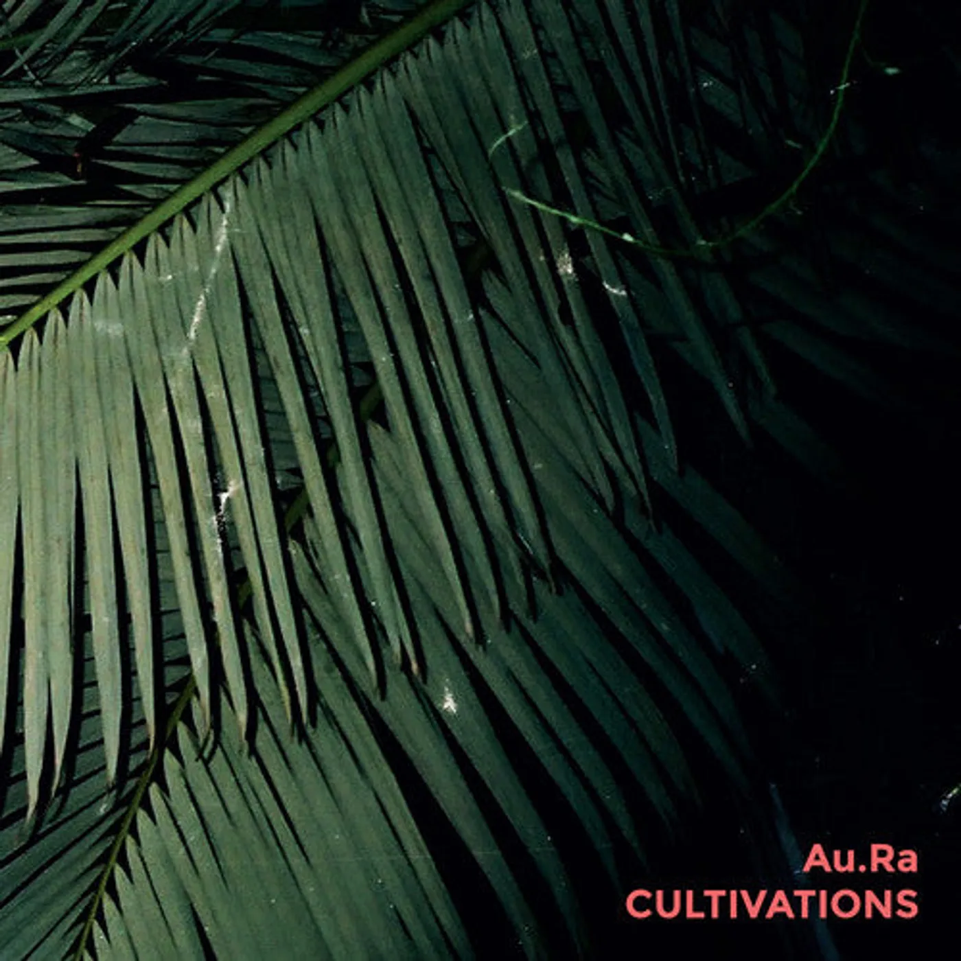 Au.Ra LP Vinyl - Cultivations