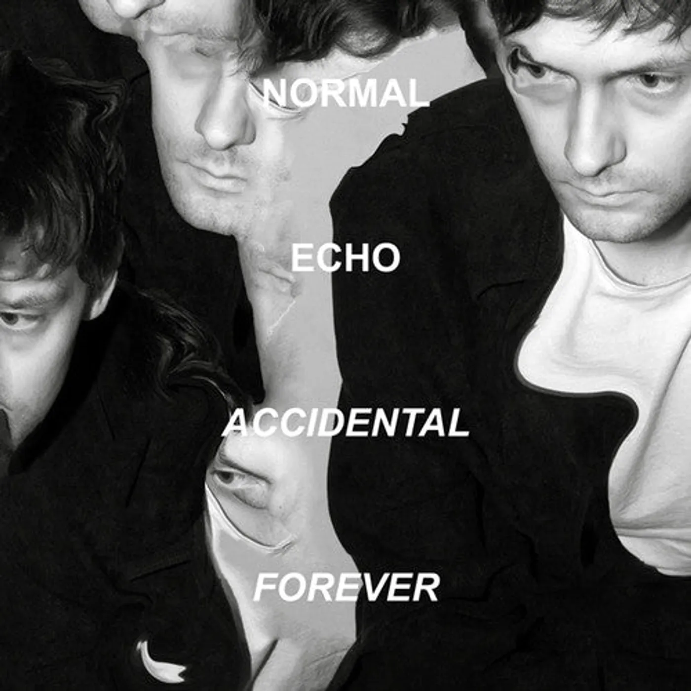 Normal Echo LP Vinyl - Accidental Forever
