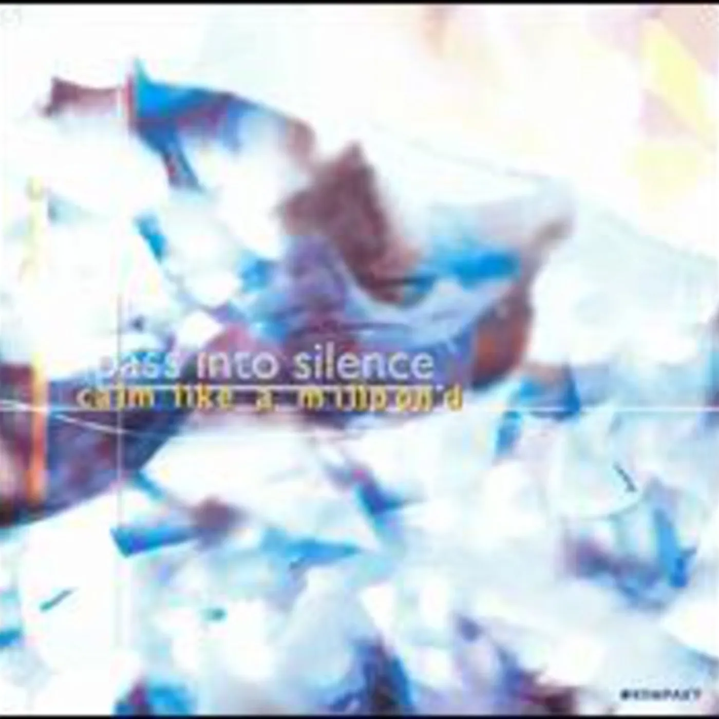 Pass Into Silence LP Vinyl - Calm Like A Millpond