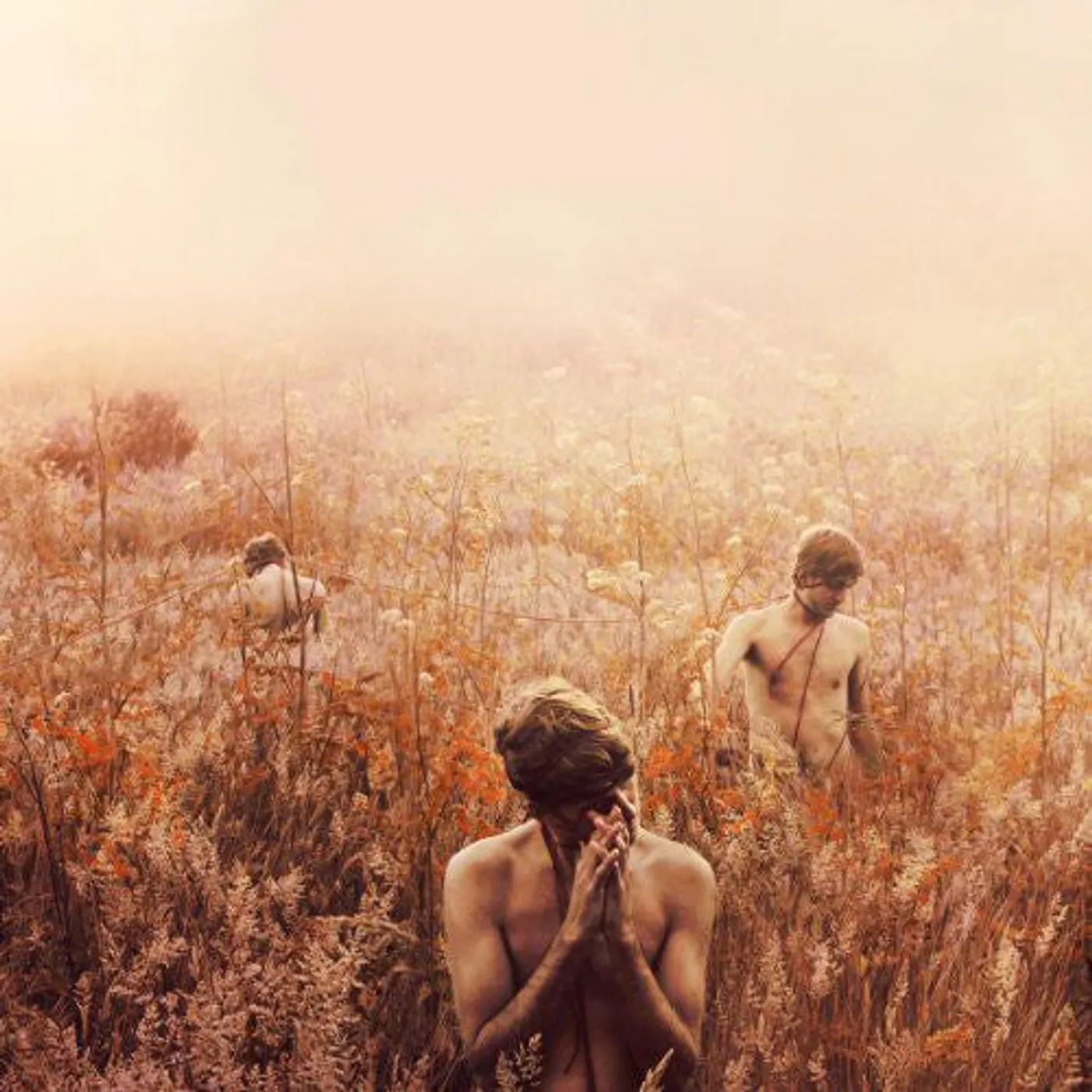 Sebastian Plano LP Vinyl - Arrhythmical Part Of Hearts