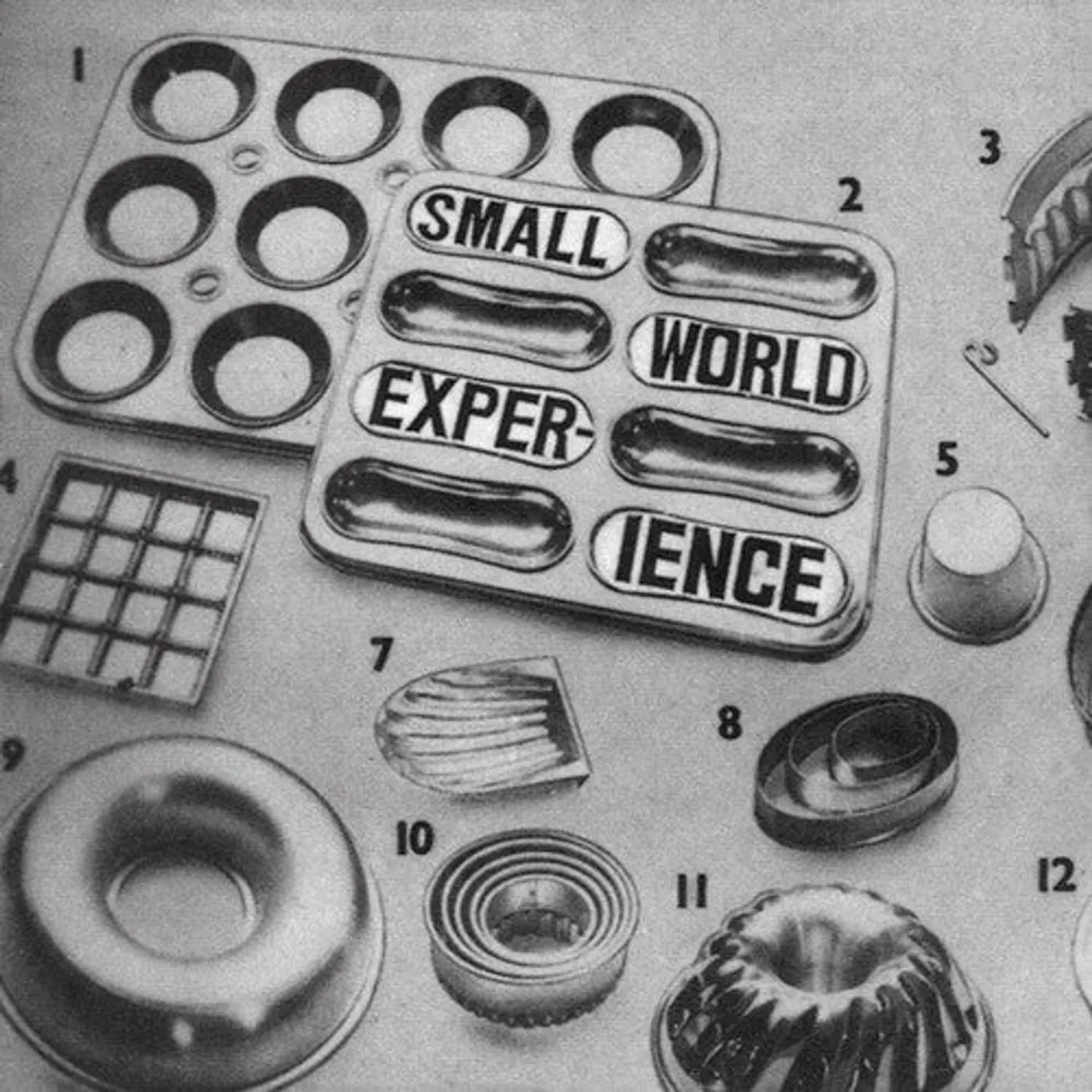 Small World Experience LP Vinyl - Shelf-Life