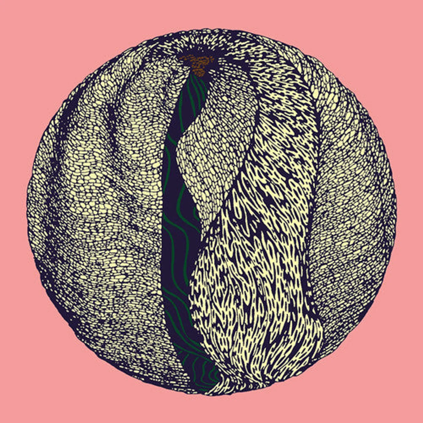 Fleur LP Vinyl - Outbreaker (Ep)