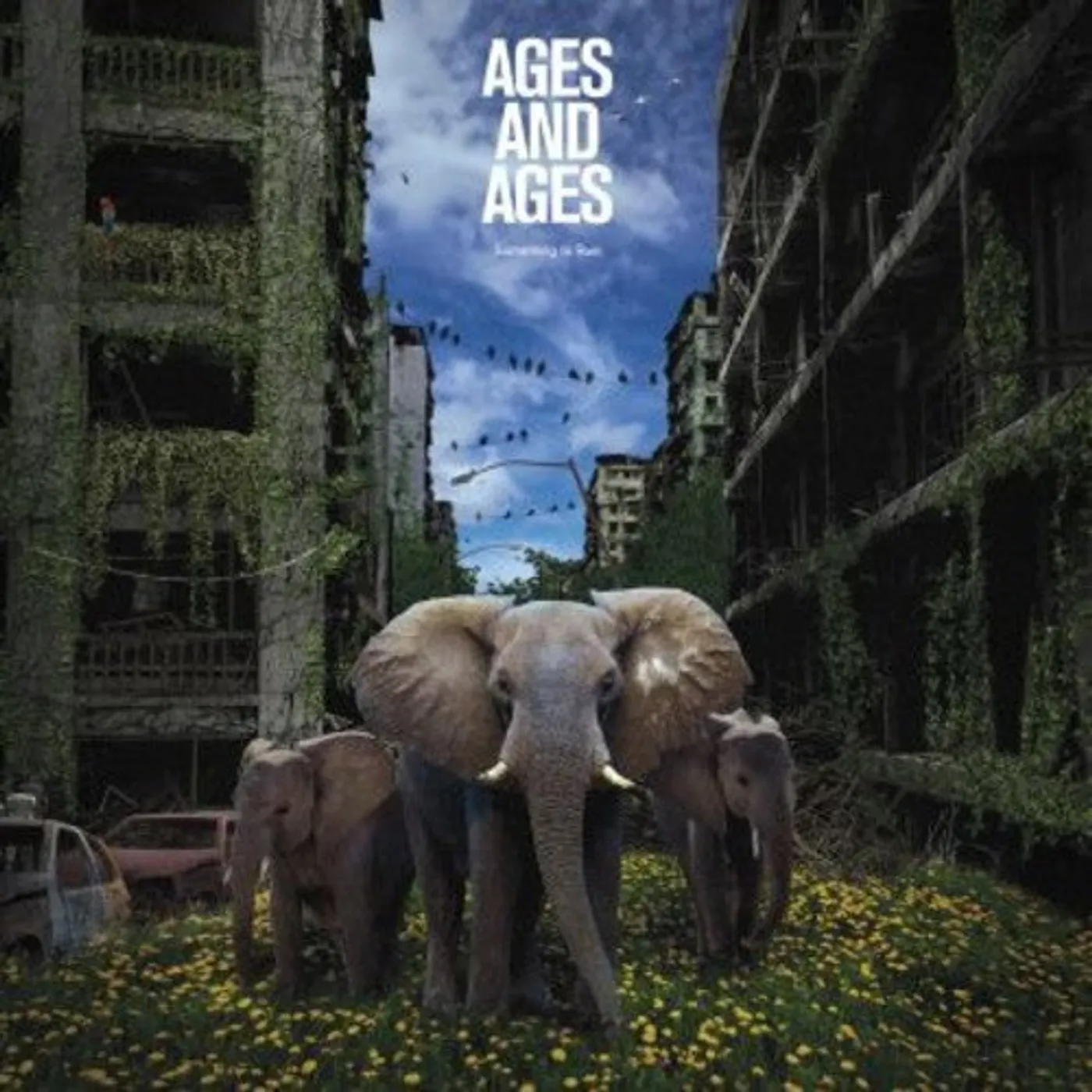 Ages and Ages LP Vinyl - Something To Ruin (Dlcd)