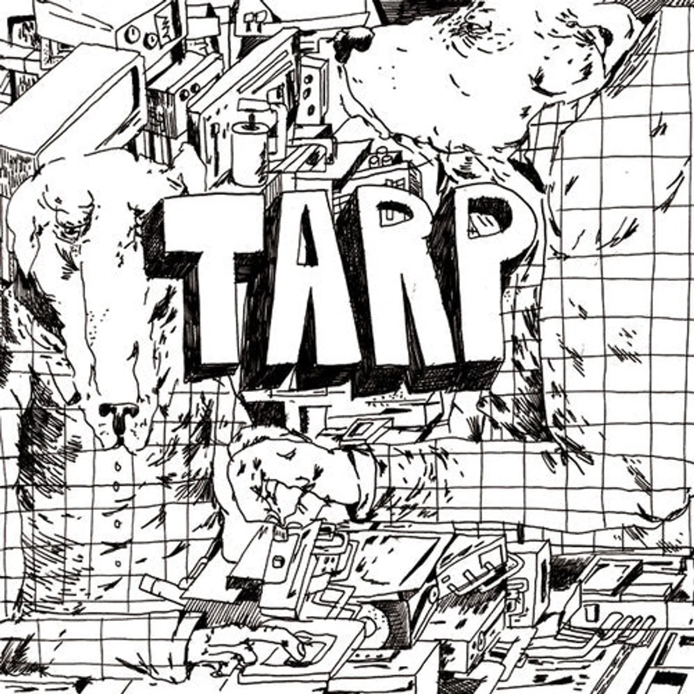 Tarp