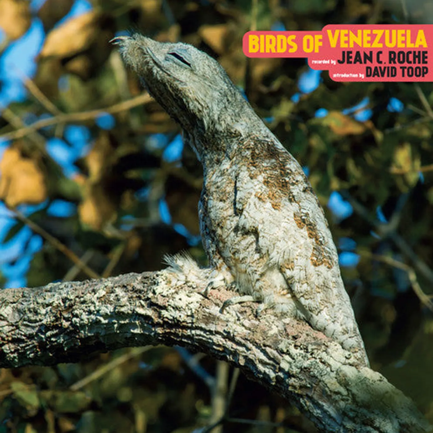Jean C. Roché LP Vinyl - Birds Of Venezuela