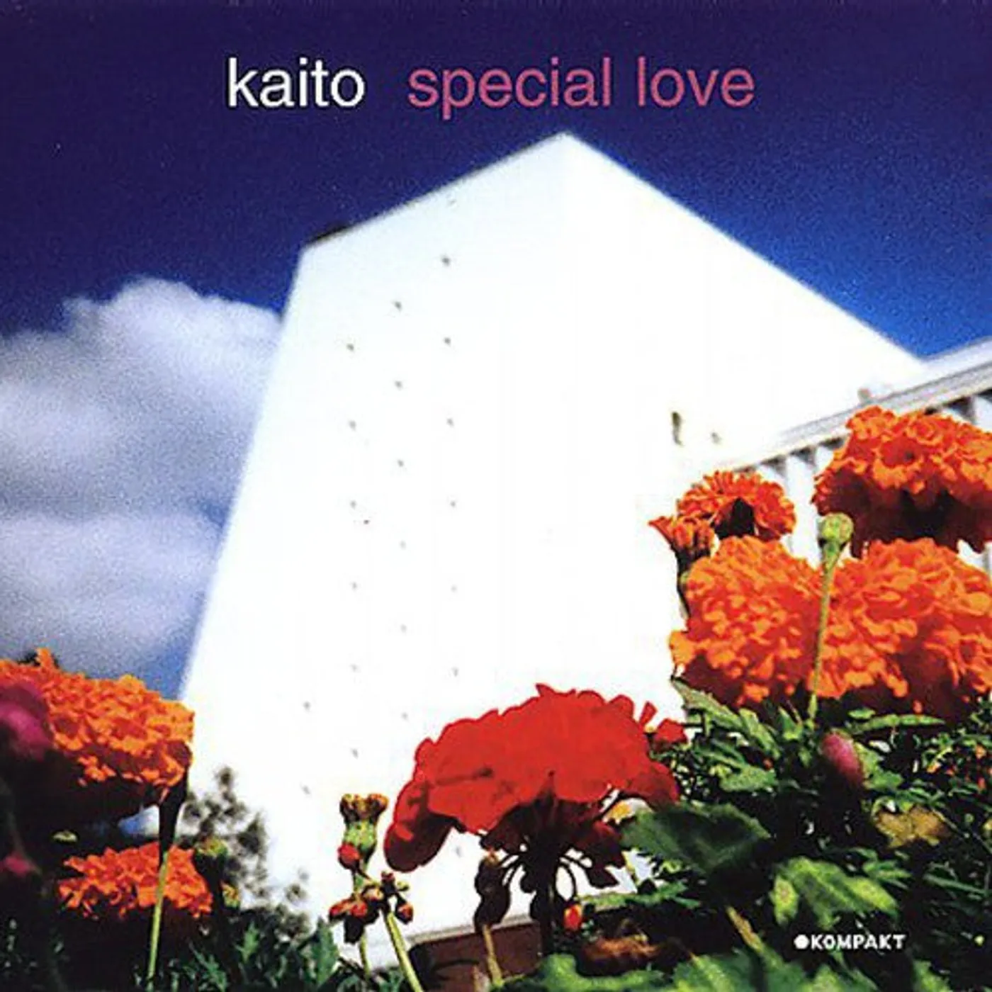 Kaito LP Vinyl - Special Love