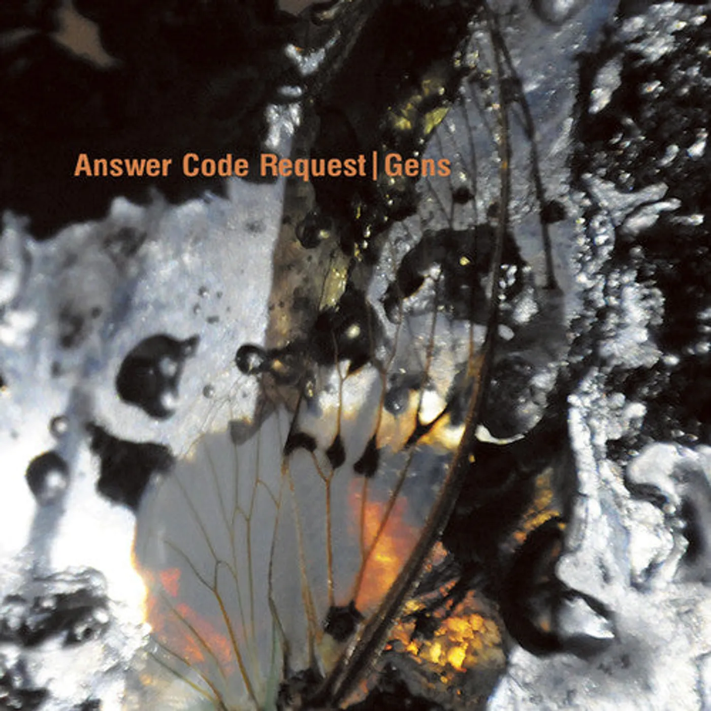Answer Code Request LP Vinyl - Gens (2Pk)