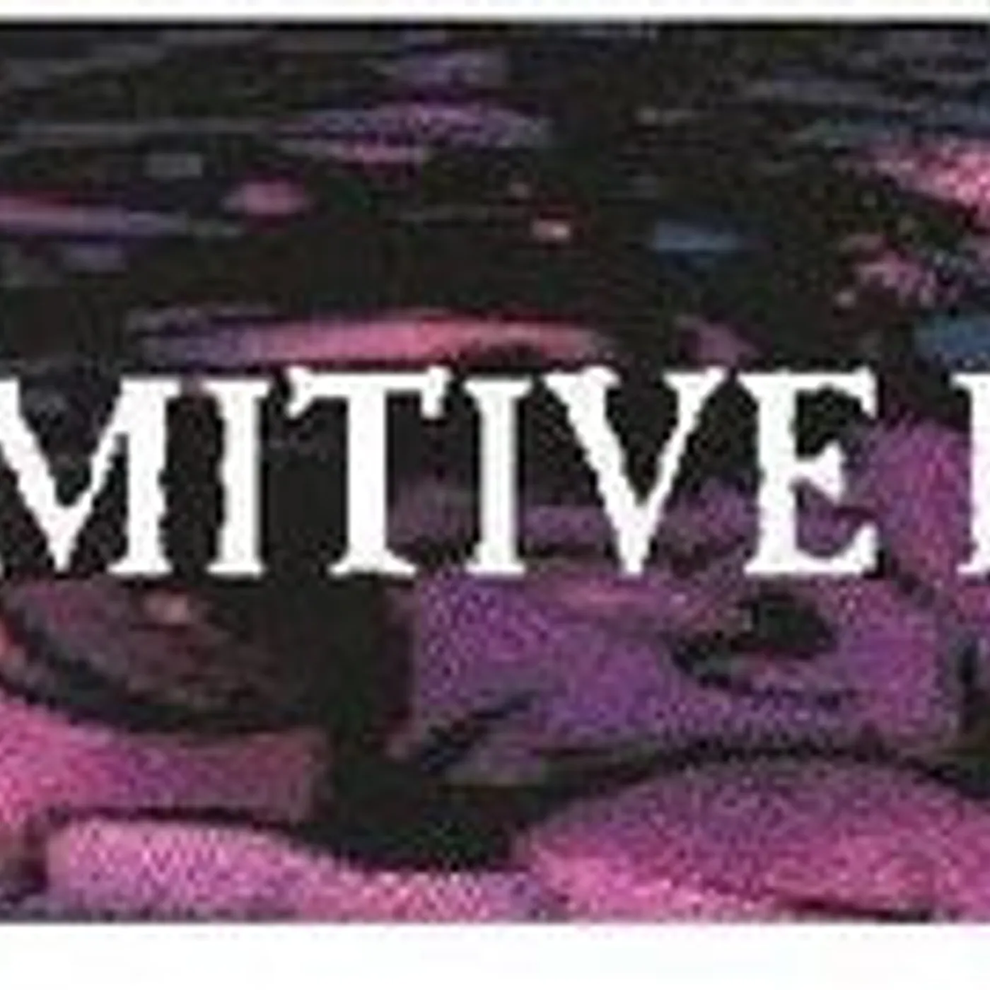 The Primitive Painter LP Vinyl - Primitive Painter (Dlcd)