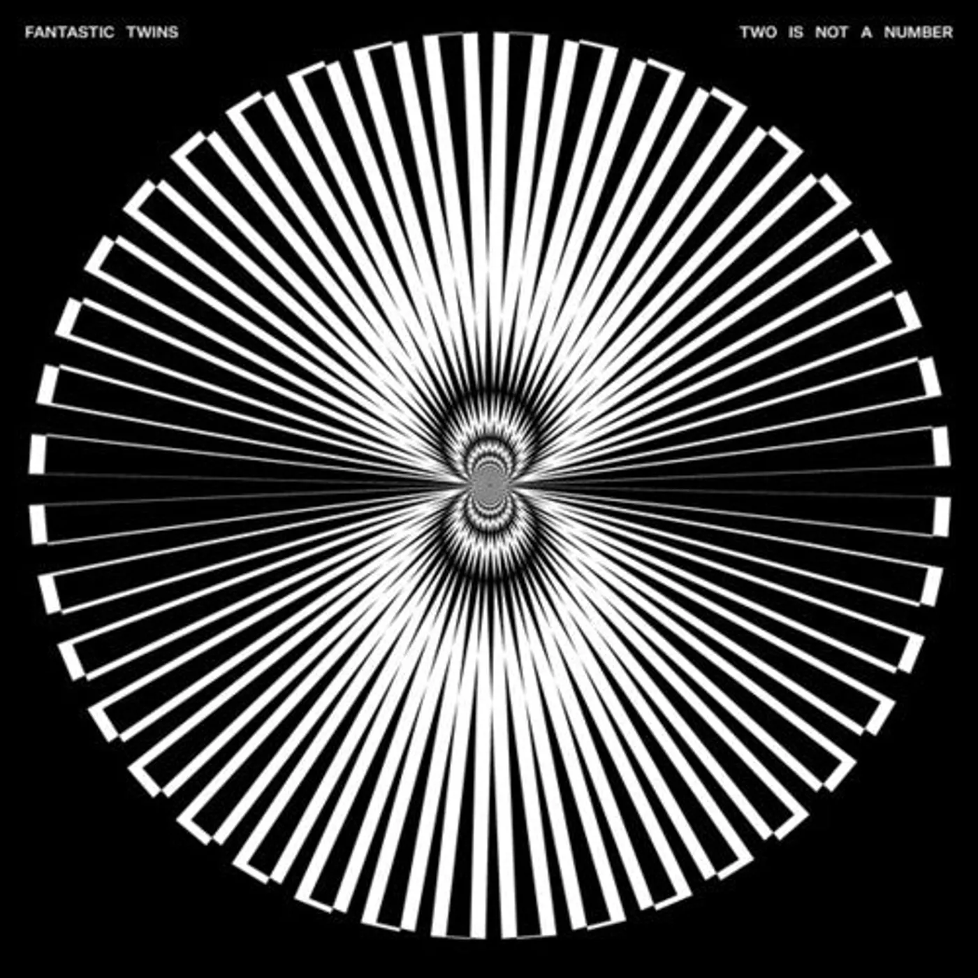 Fantastic Twins LP Vinyl - Two Is Not A Number