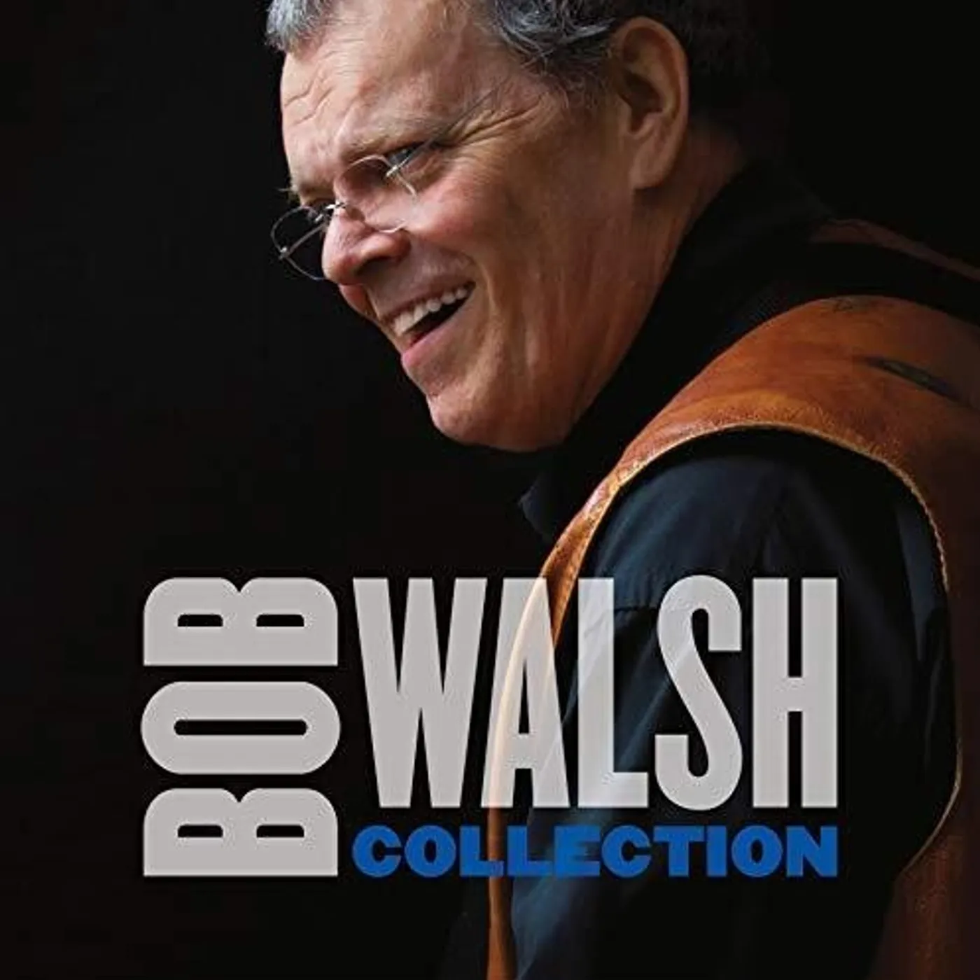 Bob Walsh LP Vinyl - Collection (Can)