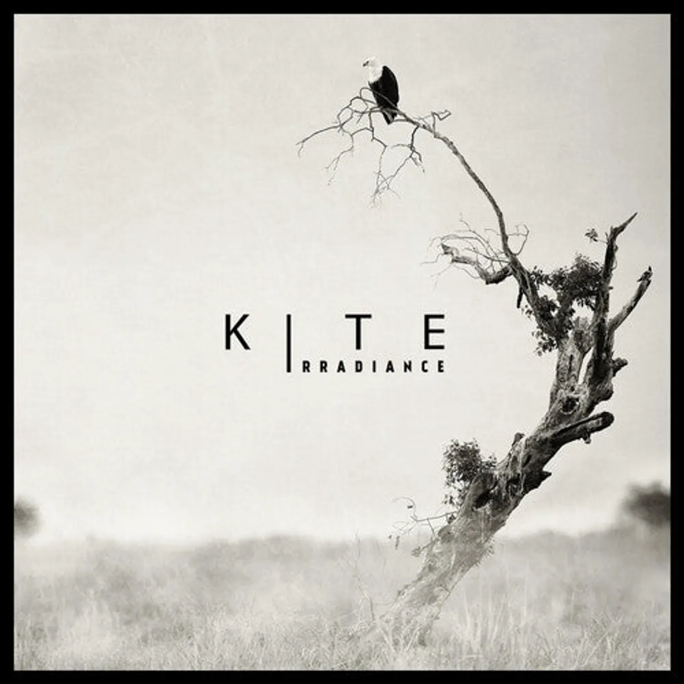 Kite LP Vinyl - Irradiance