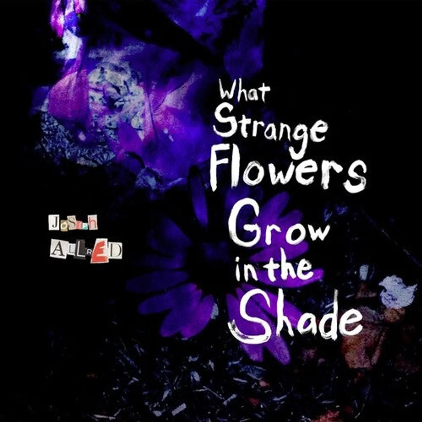 Joseph Allred LP Vinyl - What Strange Flowers In The Shade