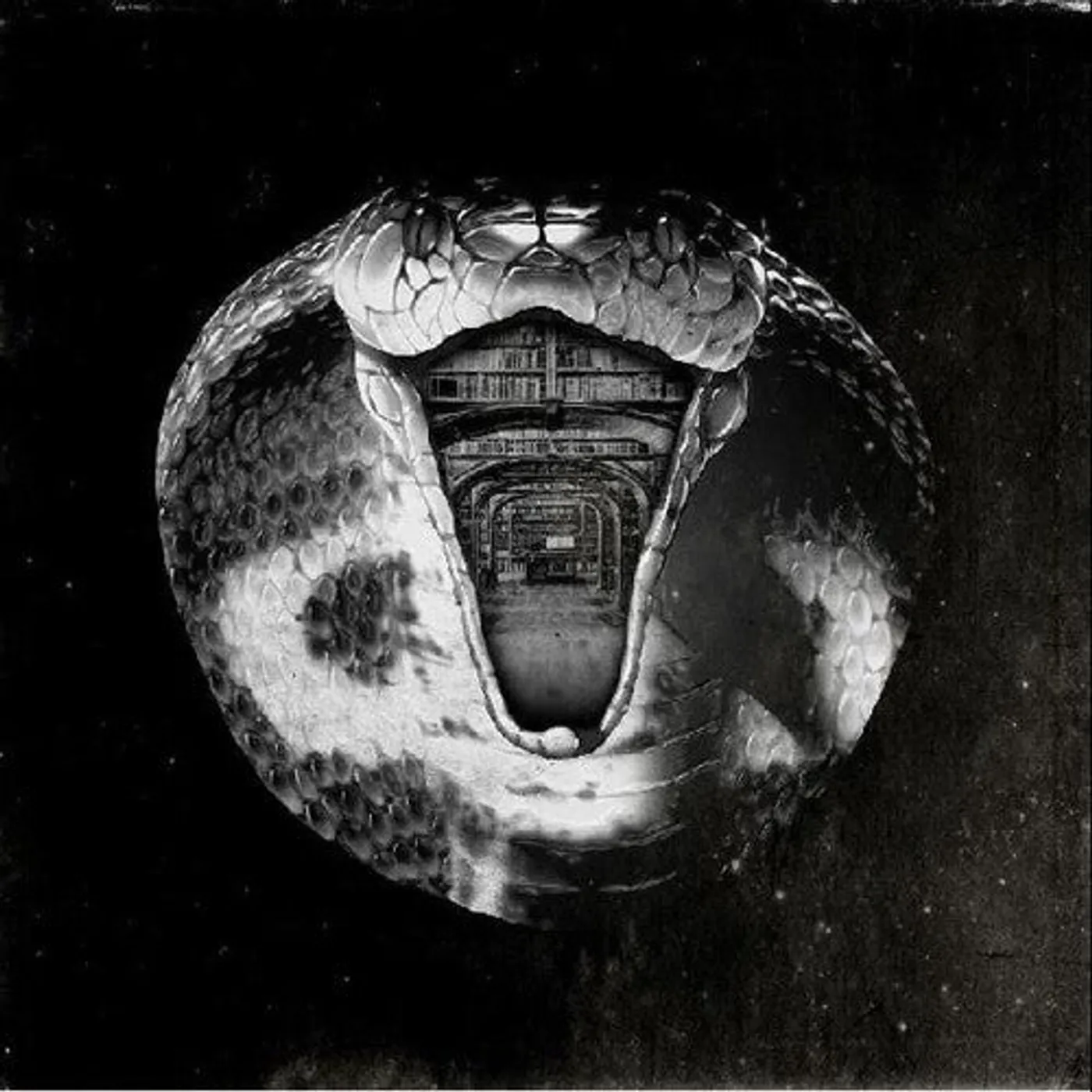The Mommyheads LP Vinyl - Genius Killer