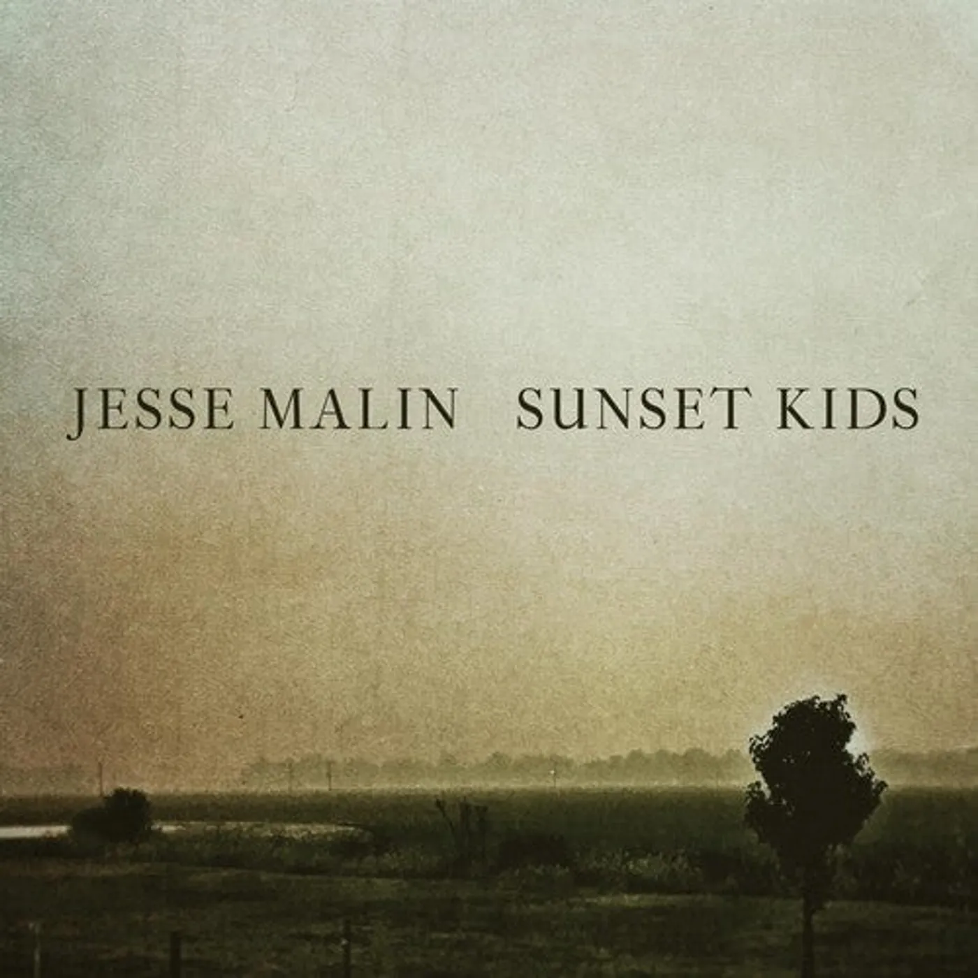 Jesse Malin LP Vinyl - Sunset Kids