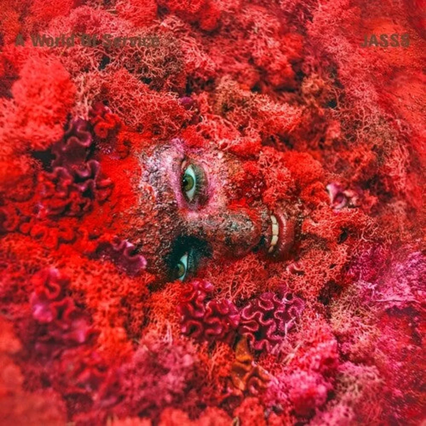 Jasss LP Vinyl - World Of Service