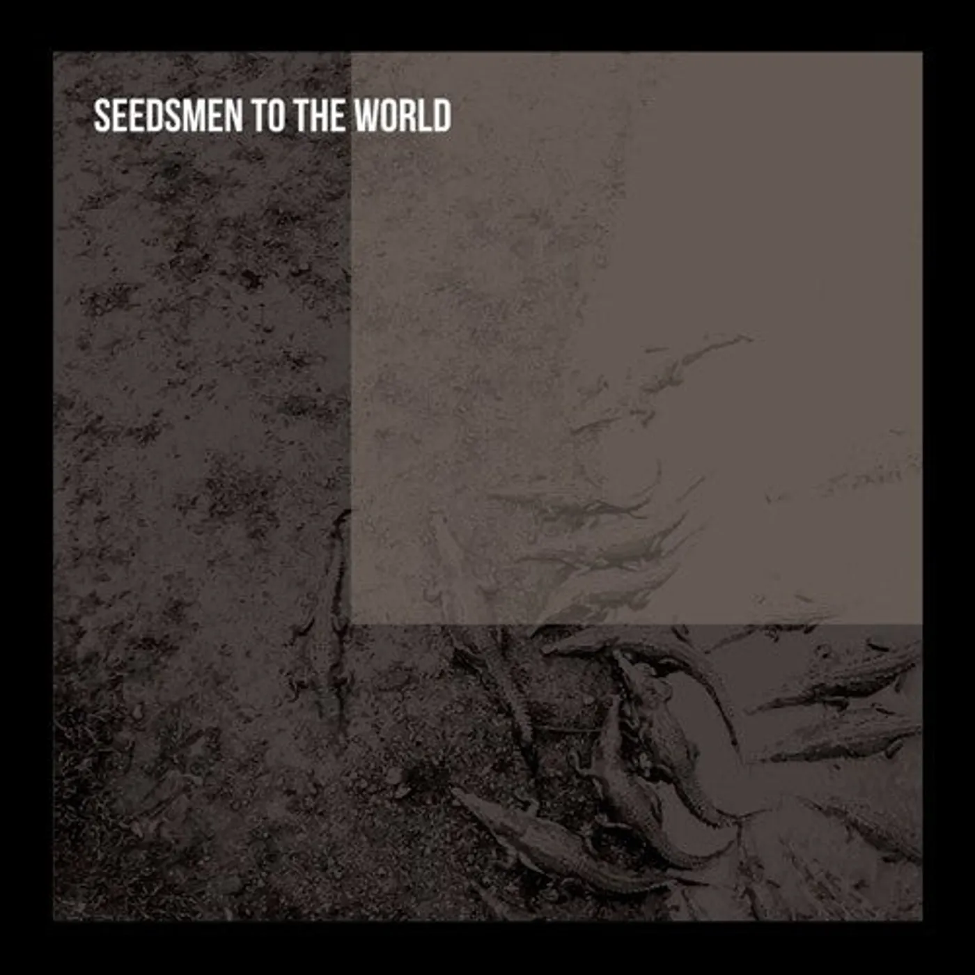 Seedsman To The World