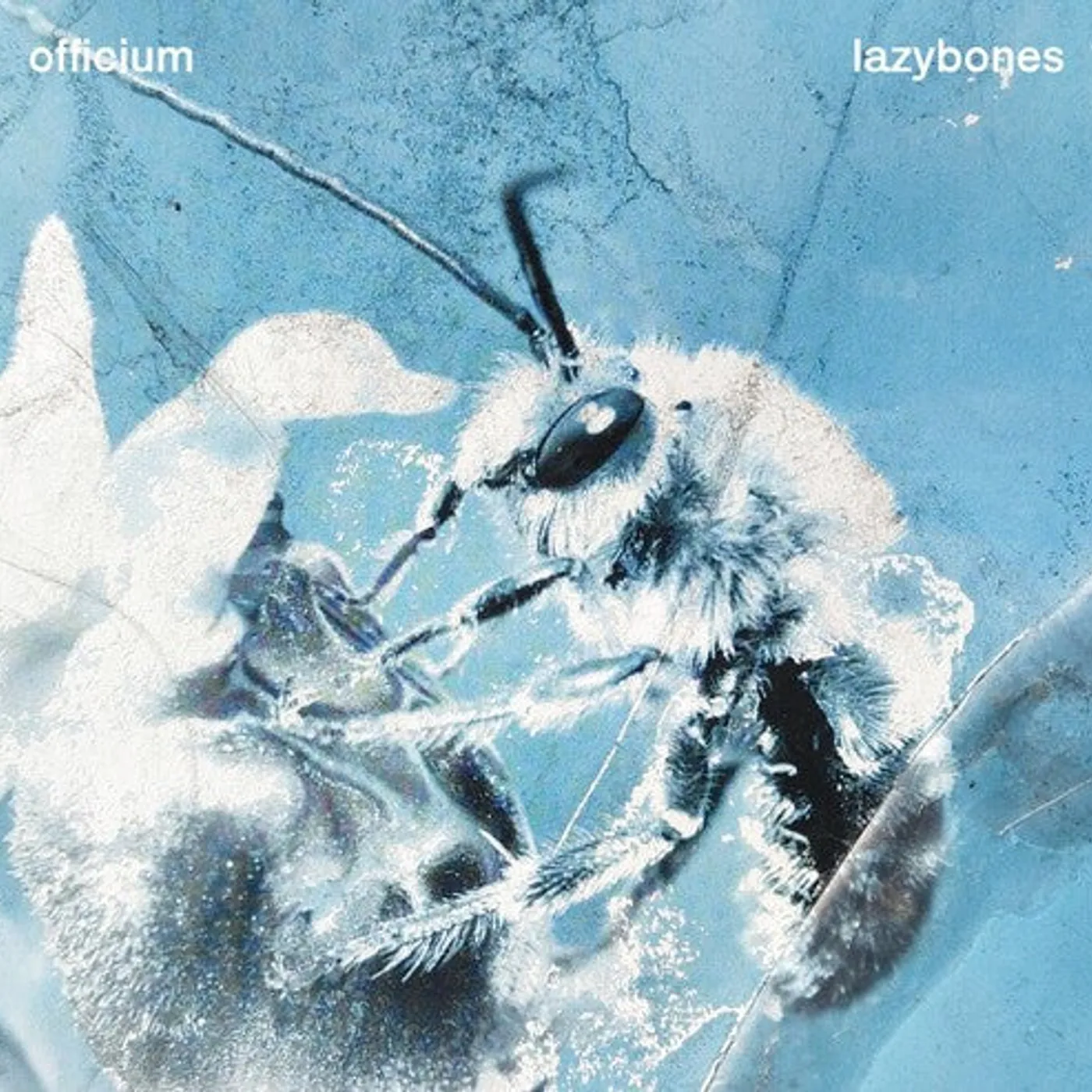 Officium LP Vinyl - Lazybones