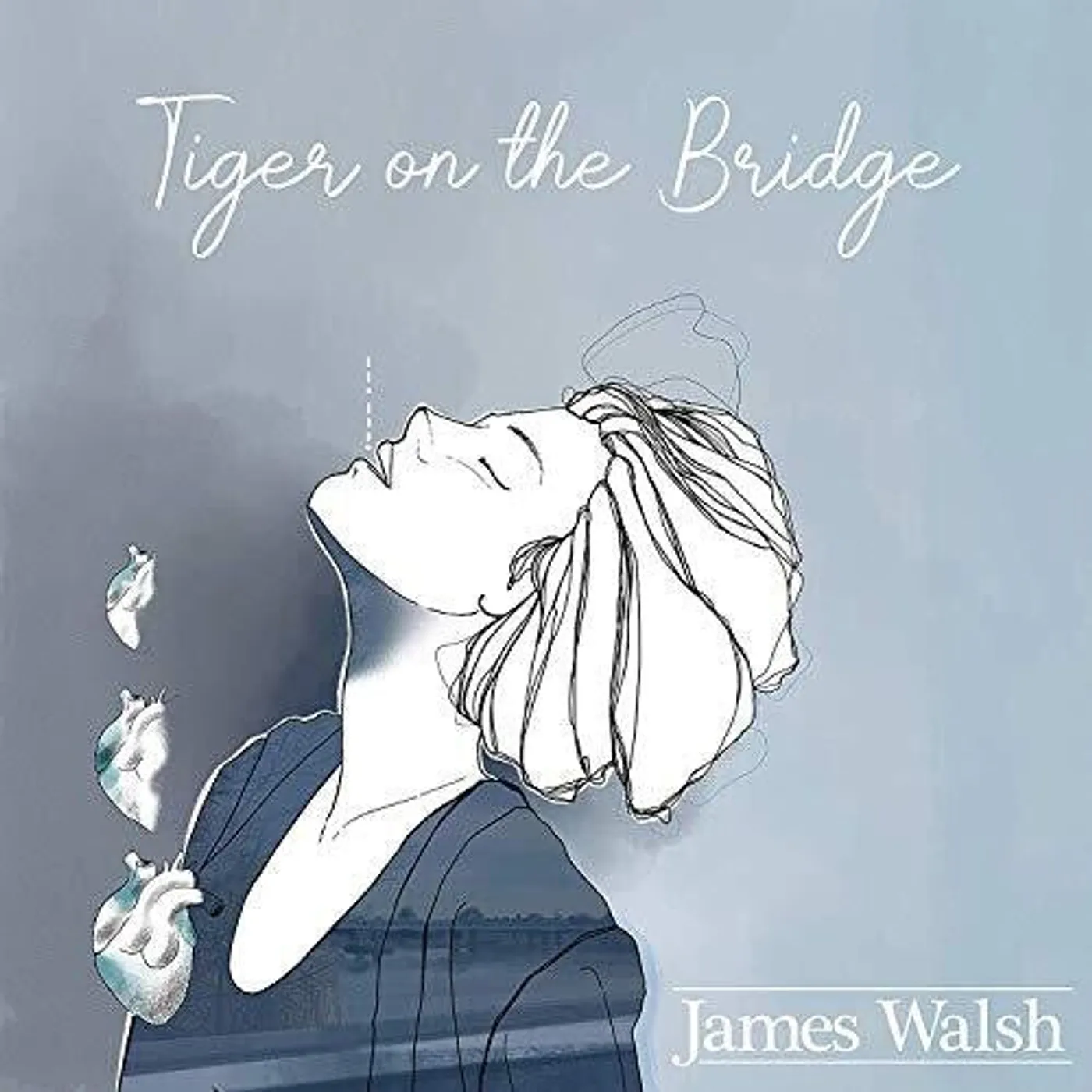 James Walsh LP Vinyl - Tiger On The Bridge (Uk)