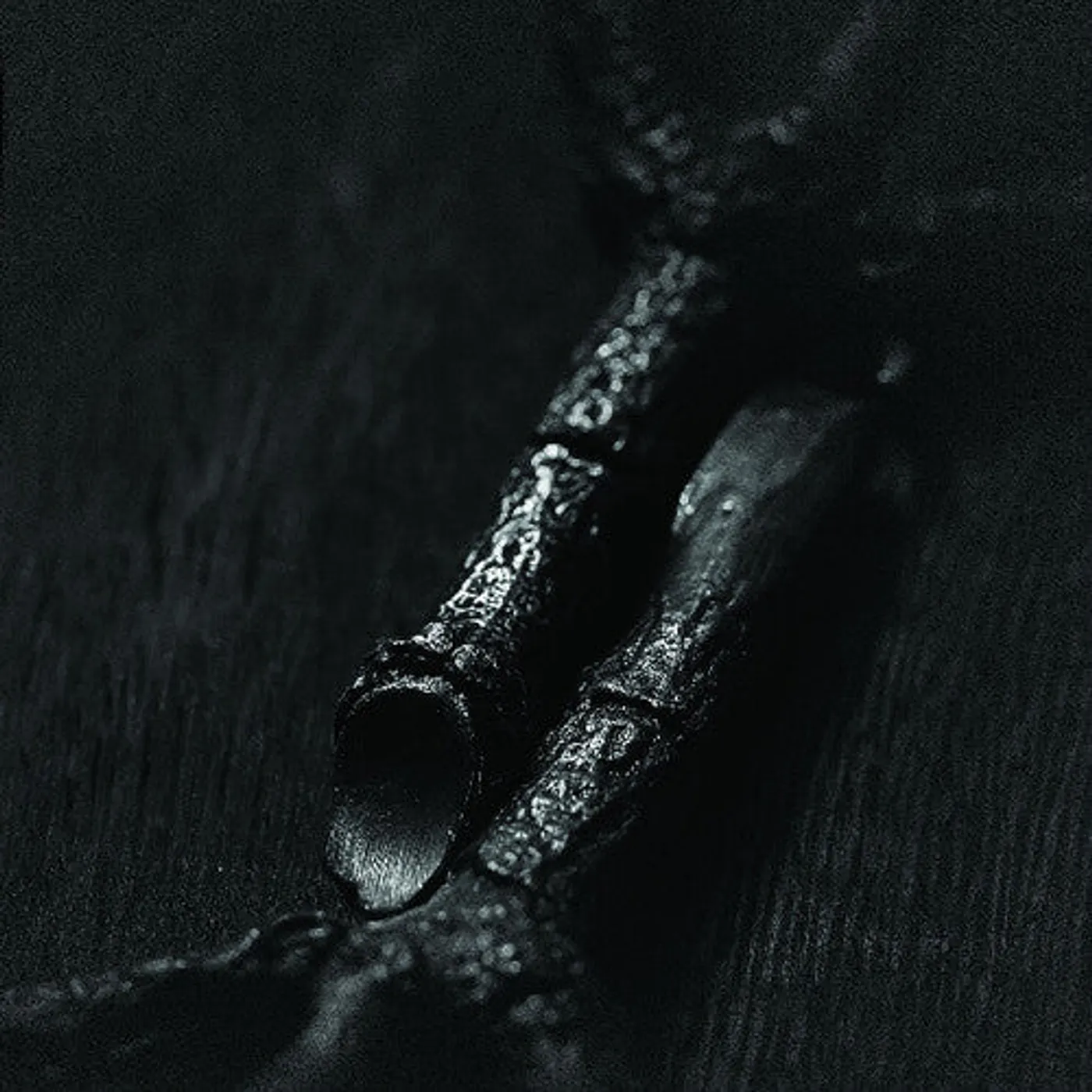 Trepaneringsritualen LP Vinyl - Algir Eller Algir I Merkstave