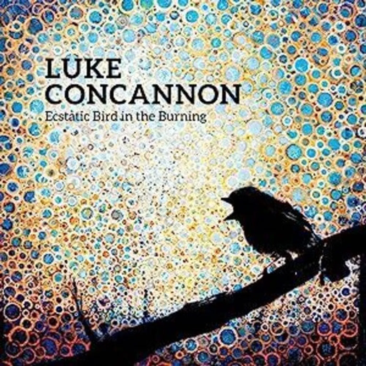 Luke Concannon LP Vinyl - Ecstatic Bird In The Burning (Uk)