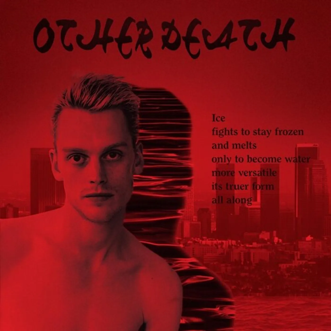 Sean Nicholas Savage LP Vinyl - Other Death