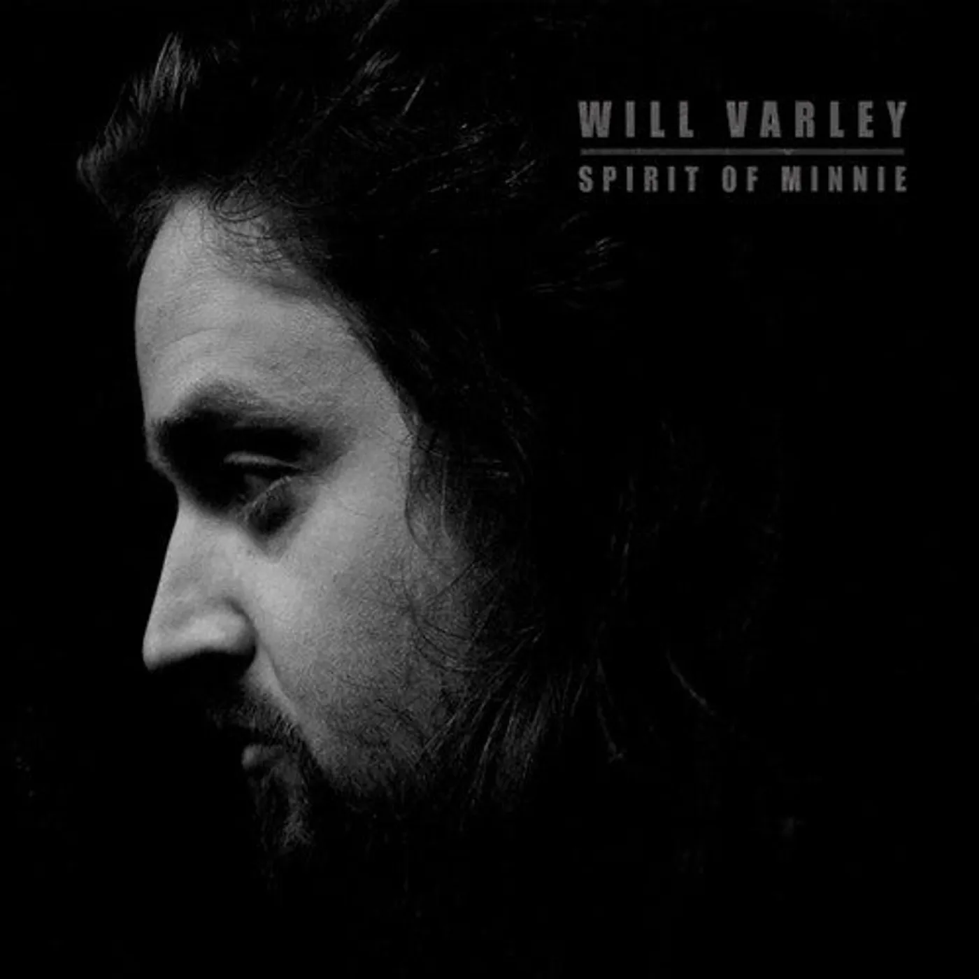 Will Varley LP Vinyl - Spirit Of Minnie