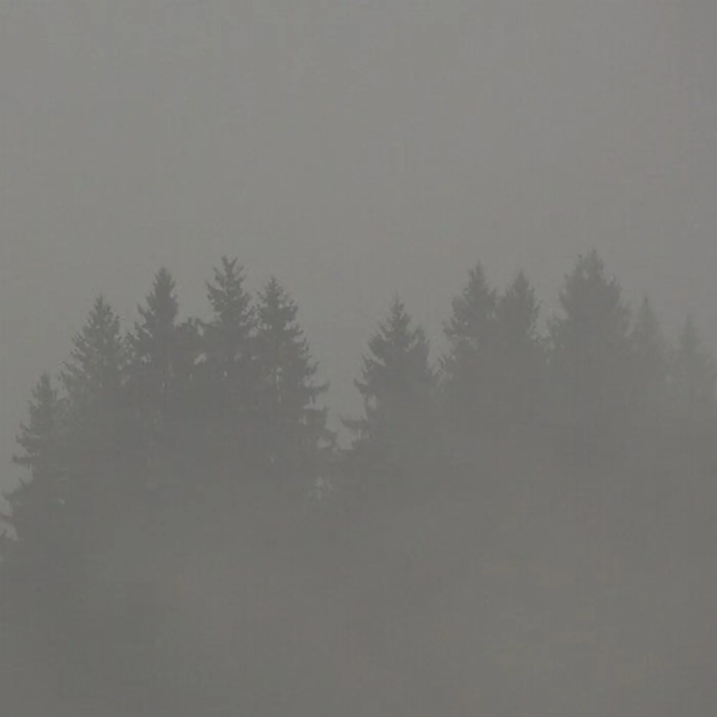 Max Loderbauer LP Vinyl - Donnerwetter