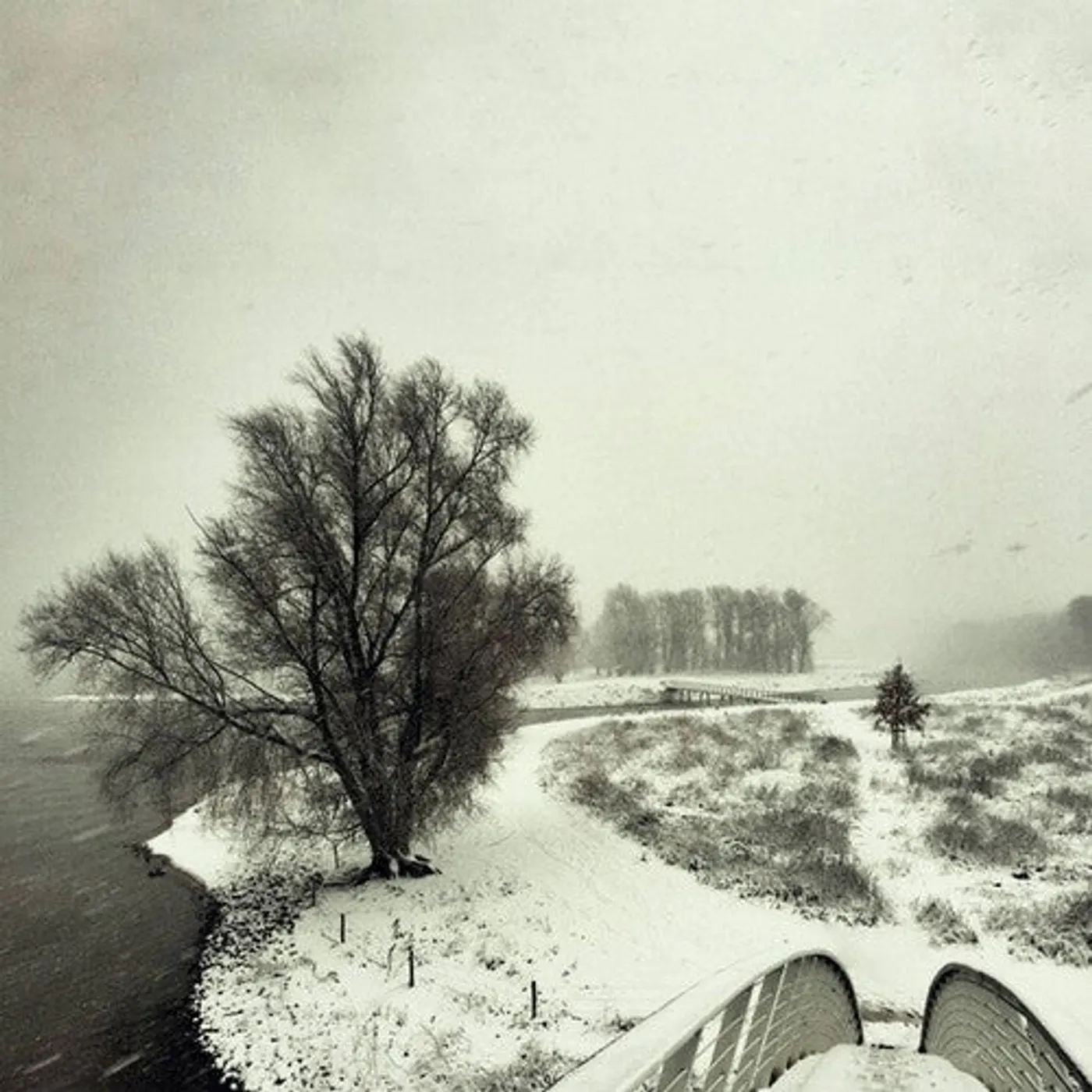 Beequeen LP Vinyl - Winter