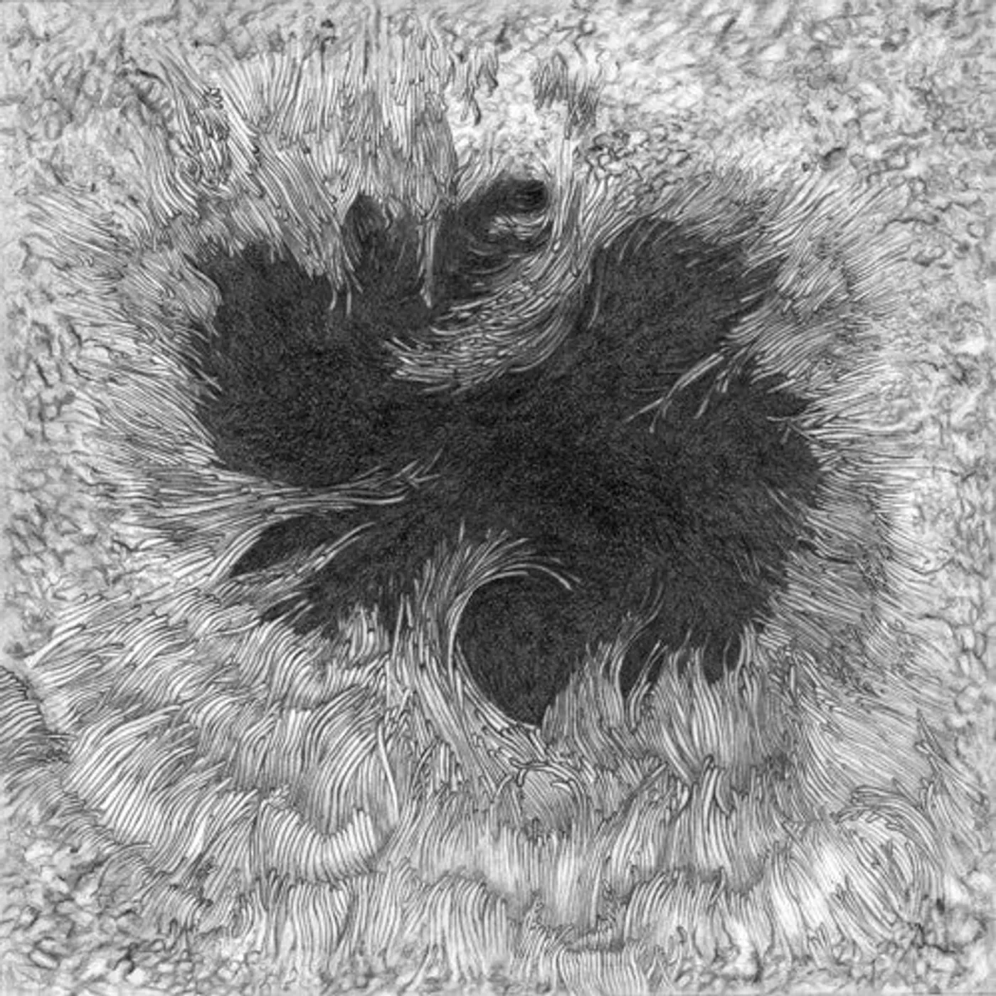 Opal Hush LP Vinyl - Remote Viewer (Coloured Vinyl) (Ltd)