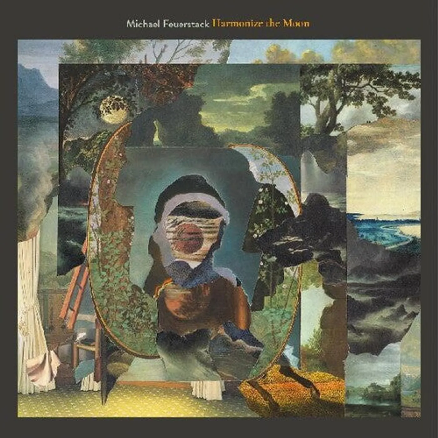 Michael Feuerstack LP Vinyl - Harmonize The Moon