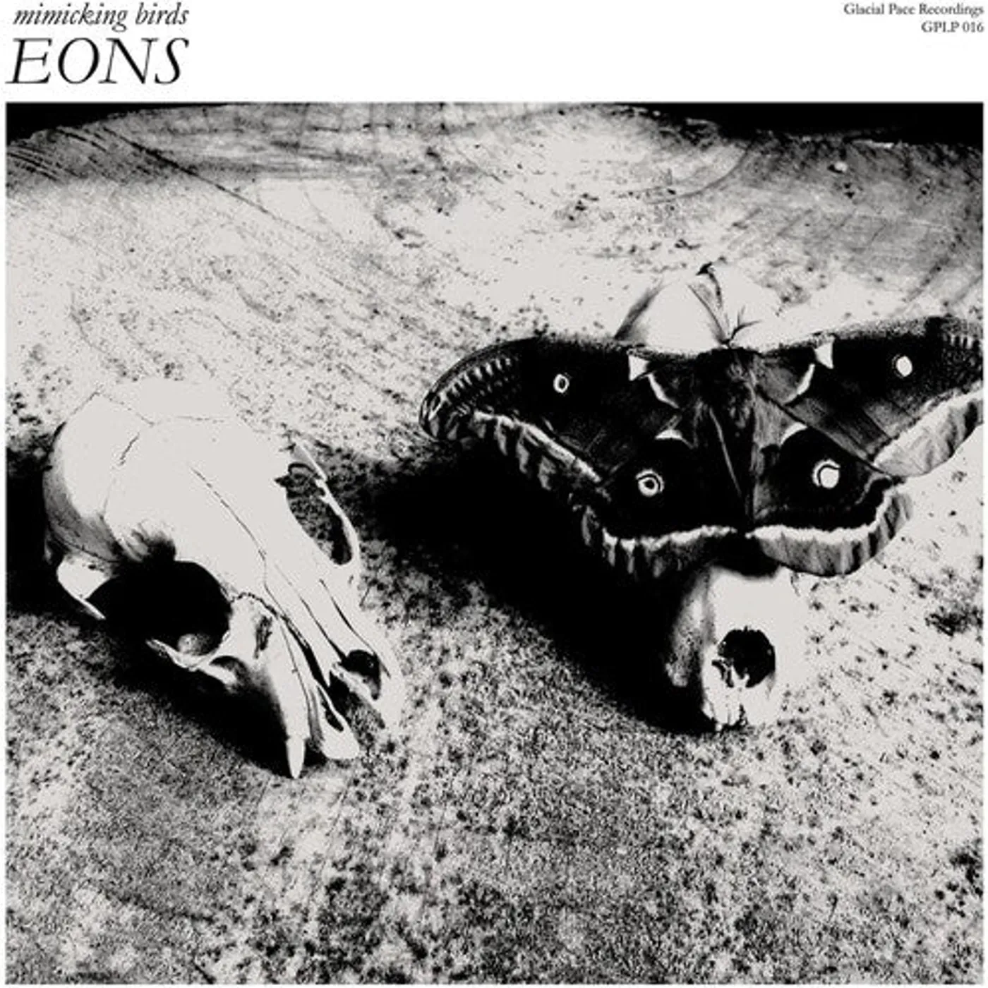 Mimicking Birds LP Vinyl - Eons