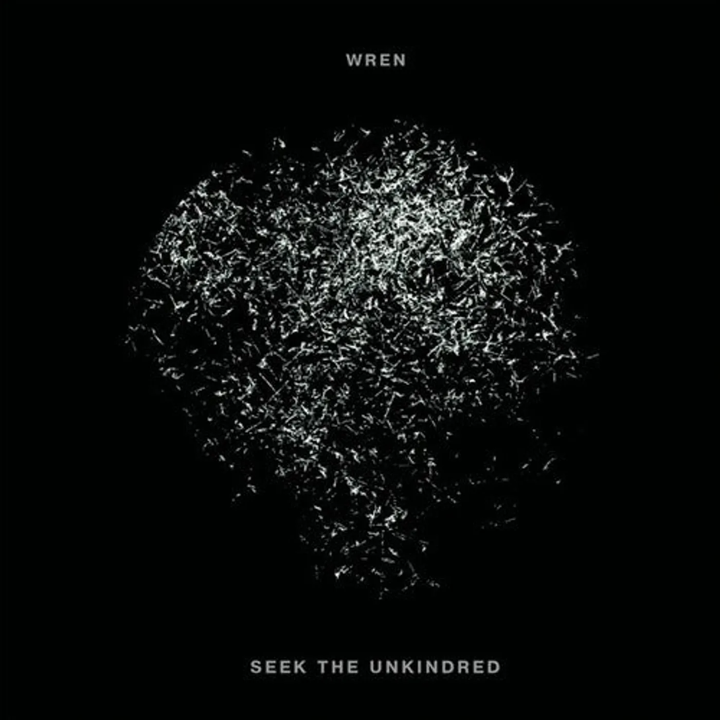 Wren LP Vinyl - Groundswells