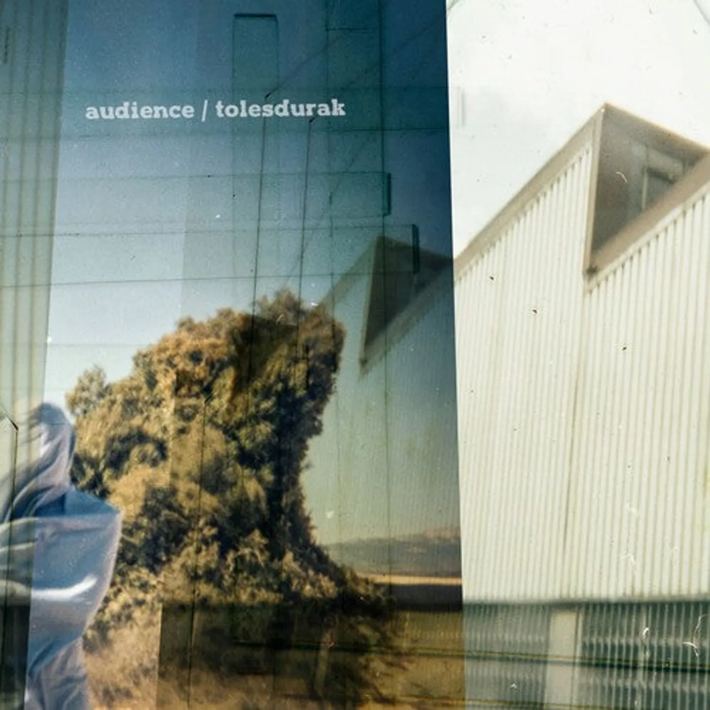 Audience LP Vinyl - Tolesdurak (Spa)