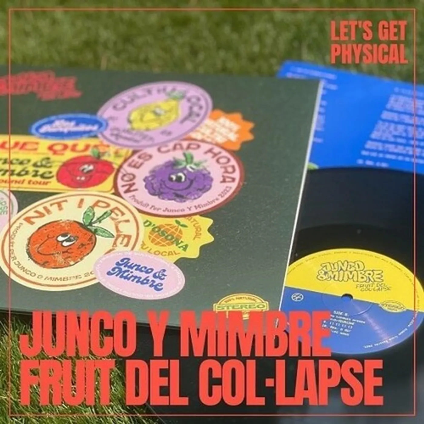 Junco y Mimbre LP Vinyl - Fruit Del Col-Lapse (Spa)