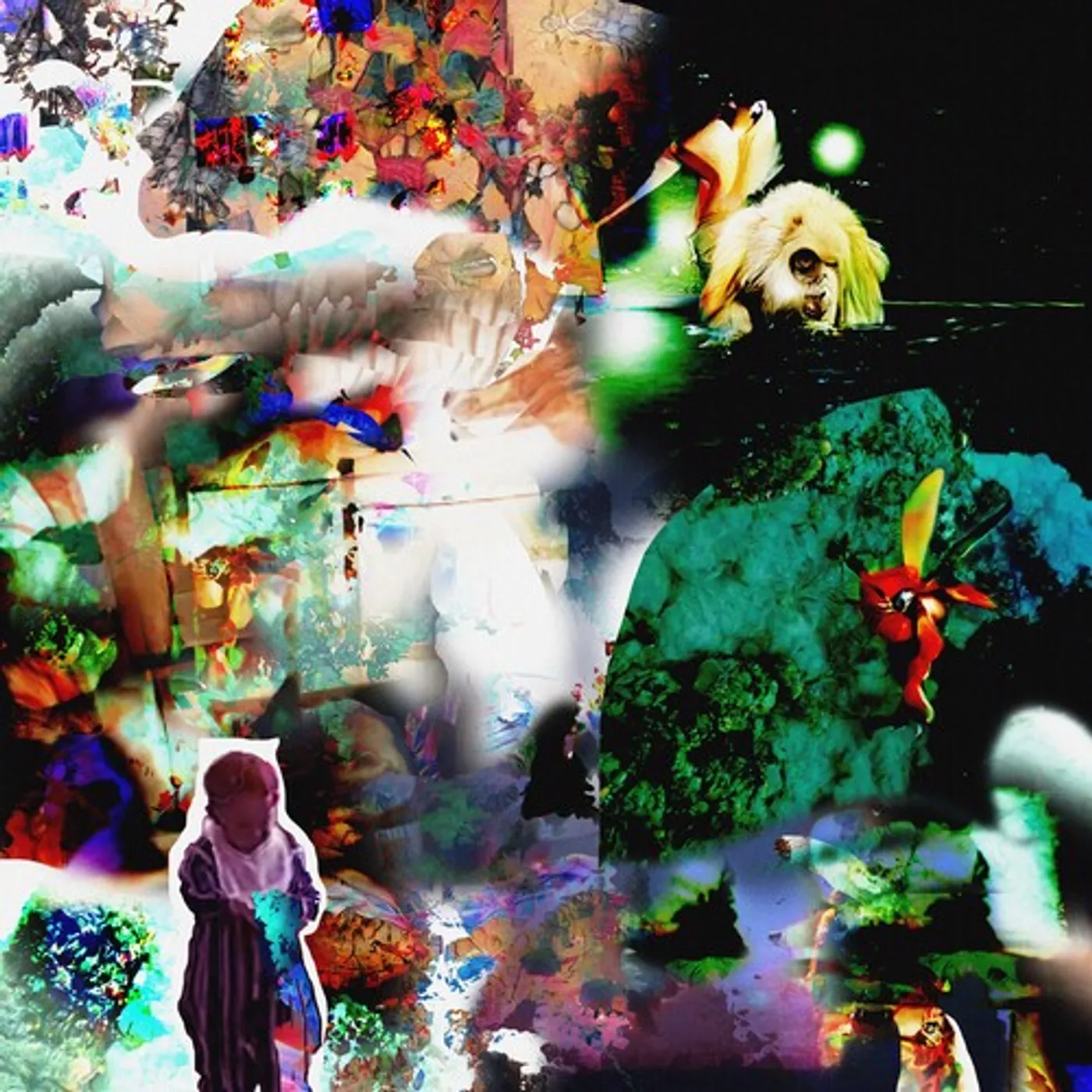 Acidhead LP Vinyl - Distractions