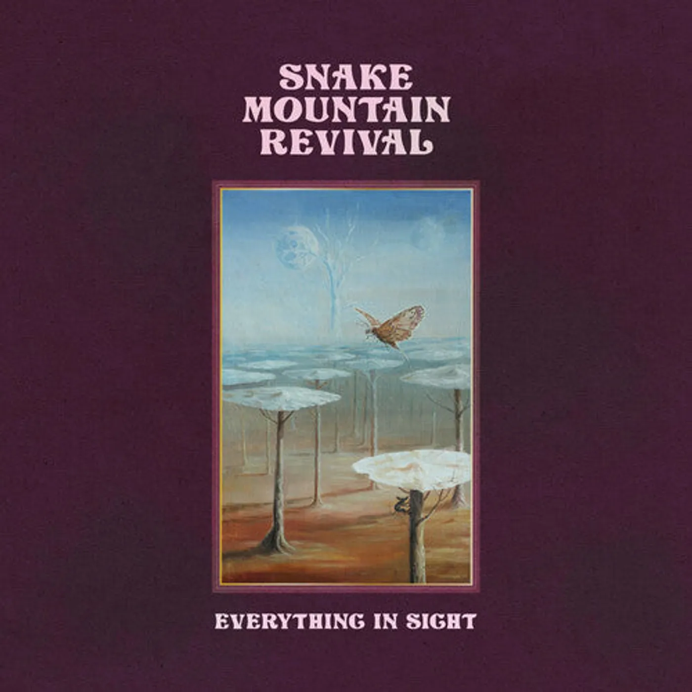 Snake Mountain Revival LP Vinyl - Everything In Sight
