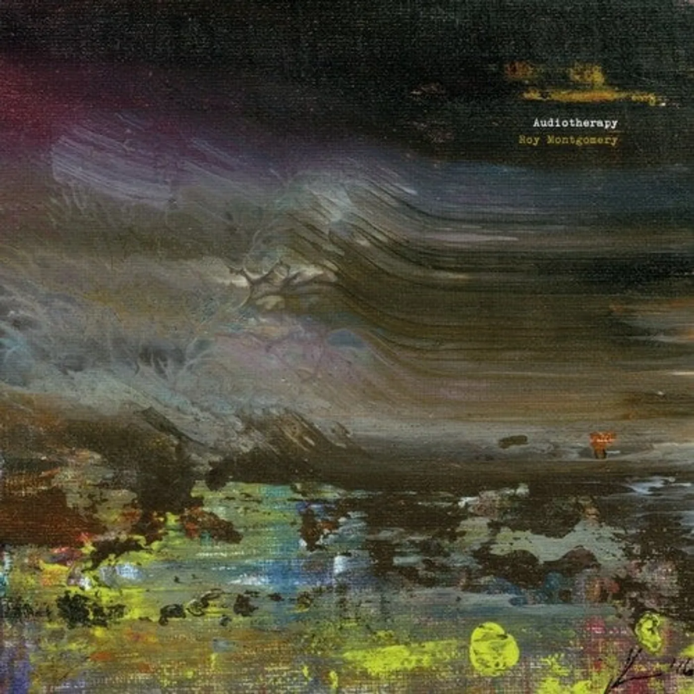 Roy Montgomery LP Vinyl - Audiotherapy